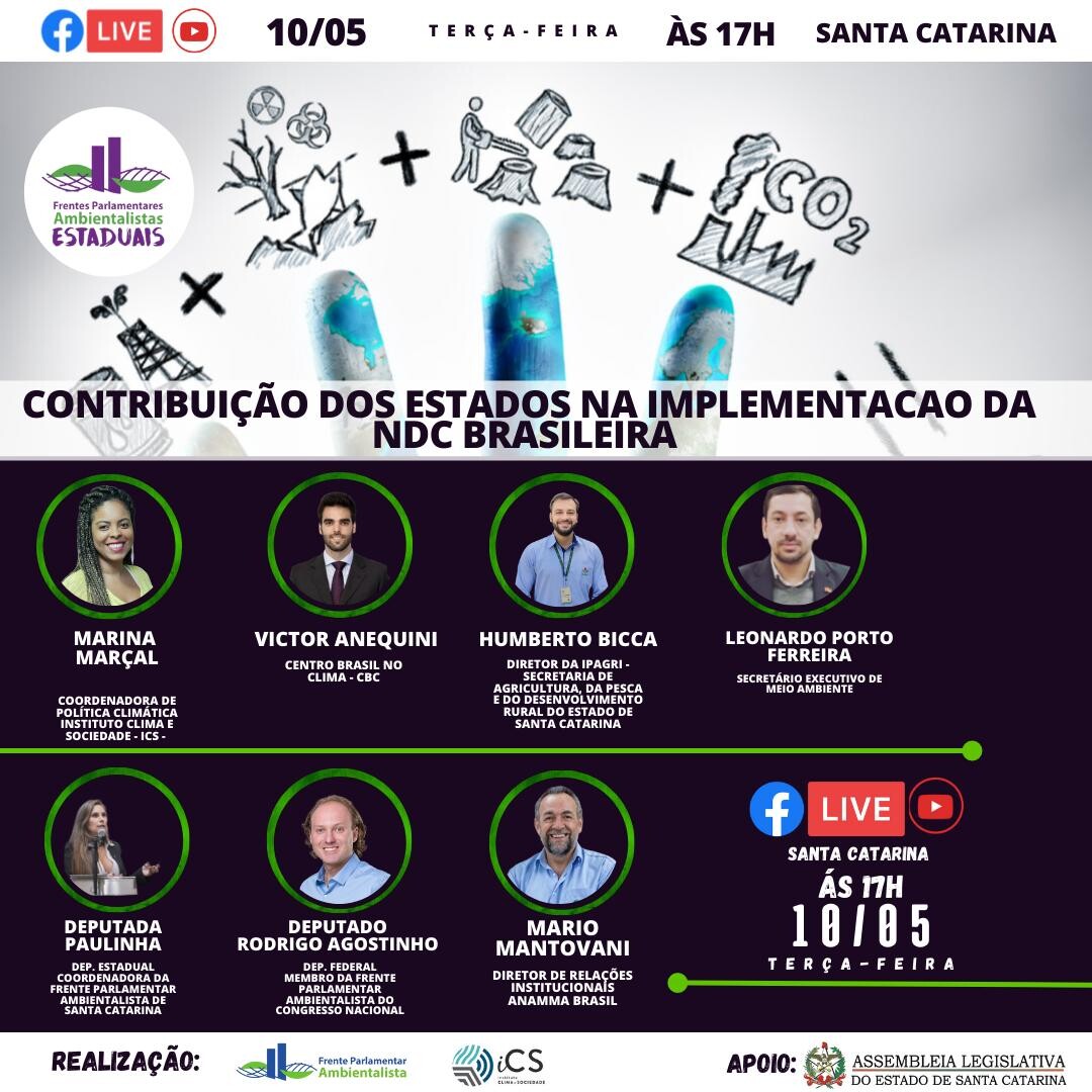 Paulinha representa SC em live da Frente Parlamentar Ambientalista do Congresso
