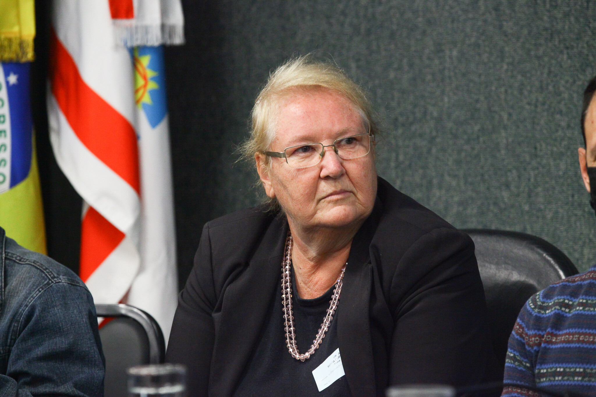 Sônia Hess, presidente do Fórum Catarinense de Combate aos Impactos dos Agrotóxicos e Transgênicos (FCCIAT).