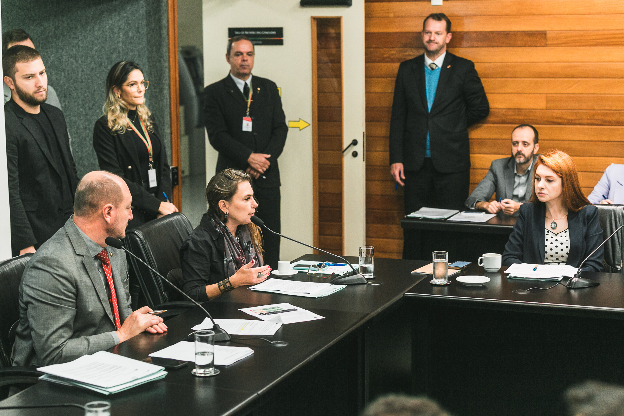 Deputada Paulinha na reunião da CCJ