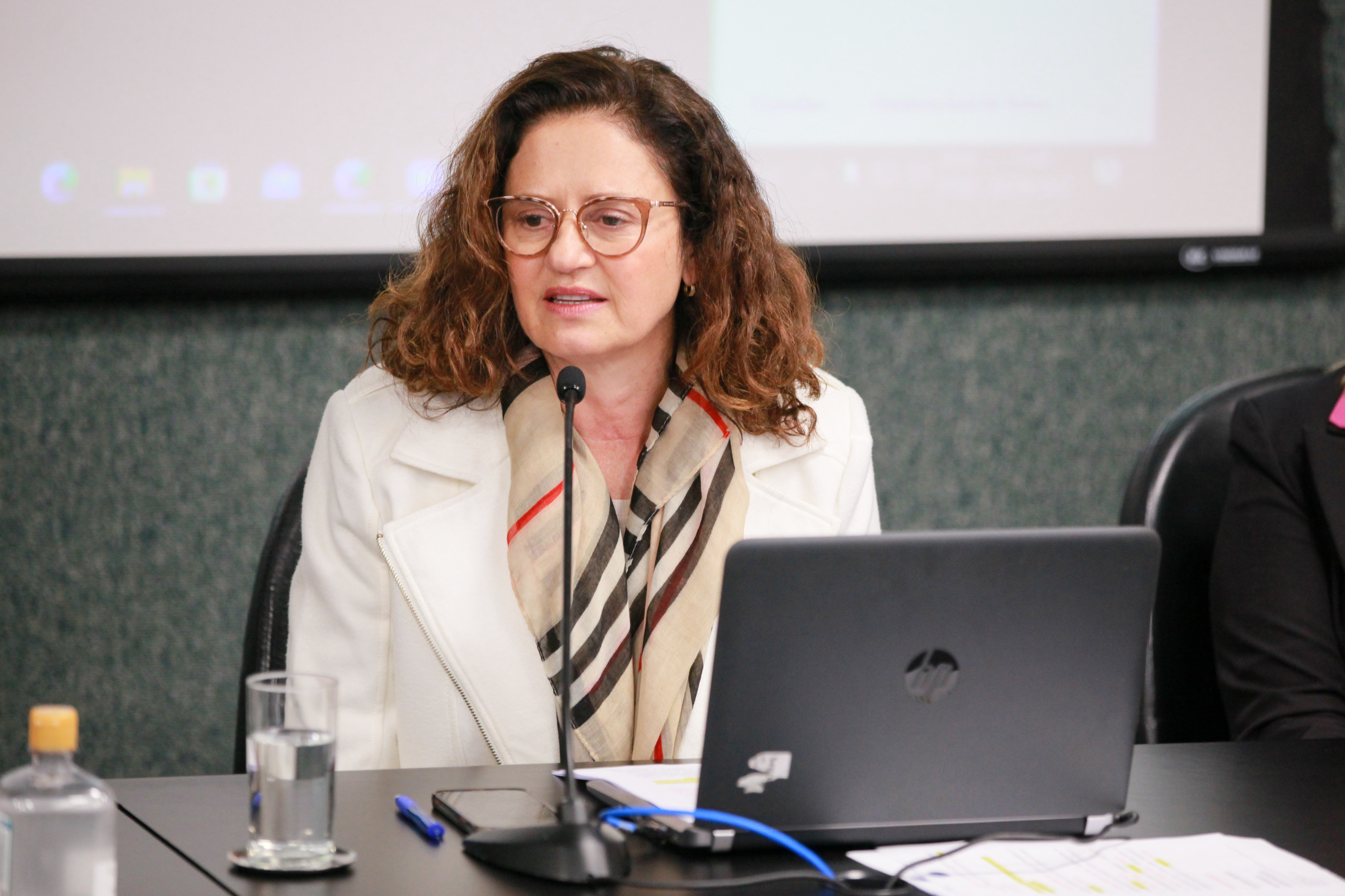 - Deputada Marlene Fengler (PSD)