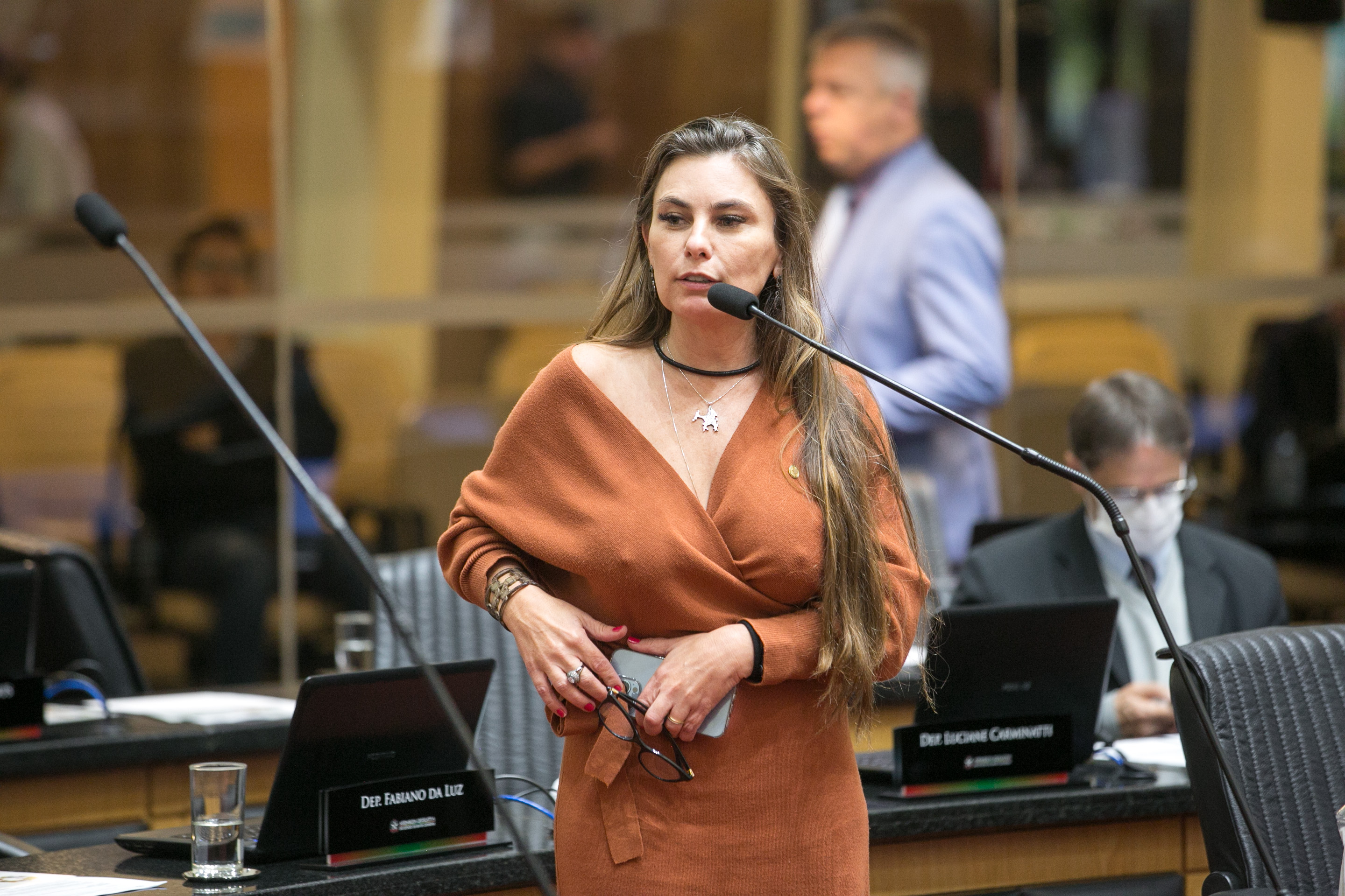 Deputada Paulinha (Podemos)