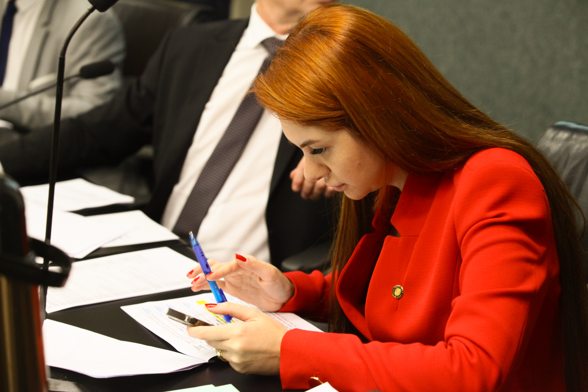 Comissão de Constituição e Justiça - Deputada Ana Caroline Campagnolo (PL)
