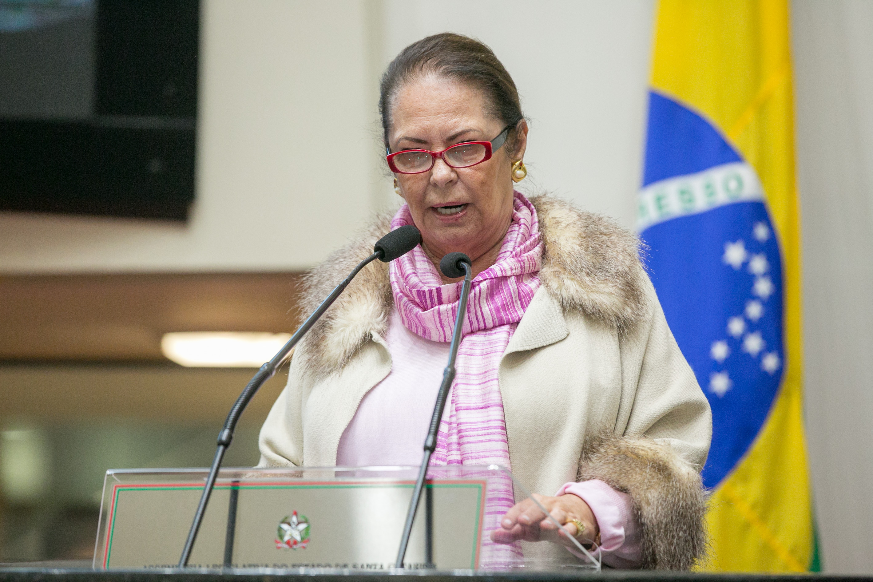Deputada Ada De Luca (MDB)
