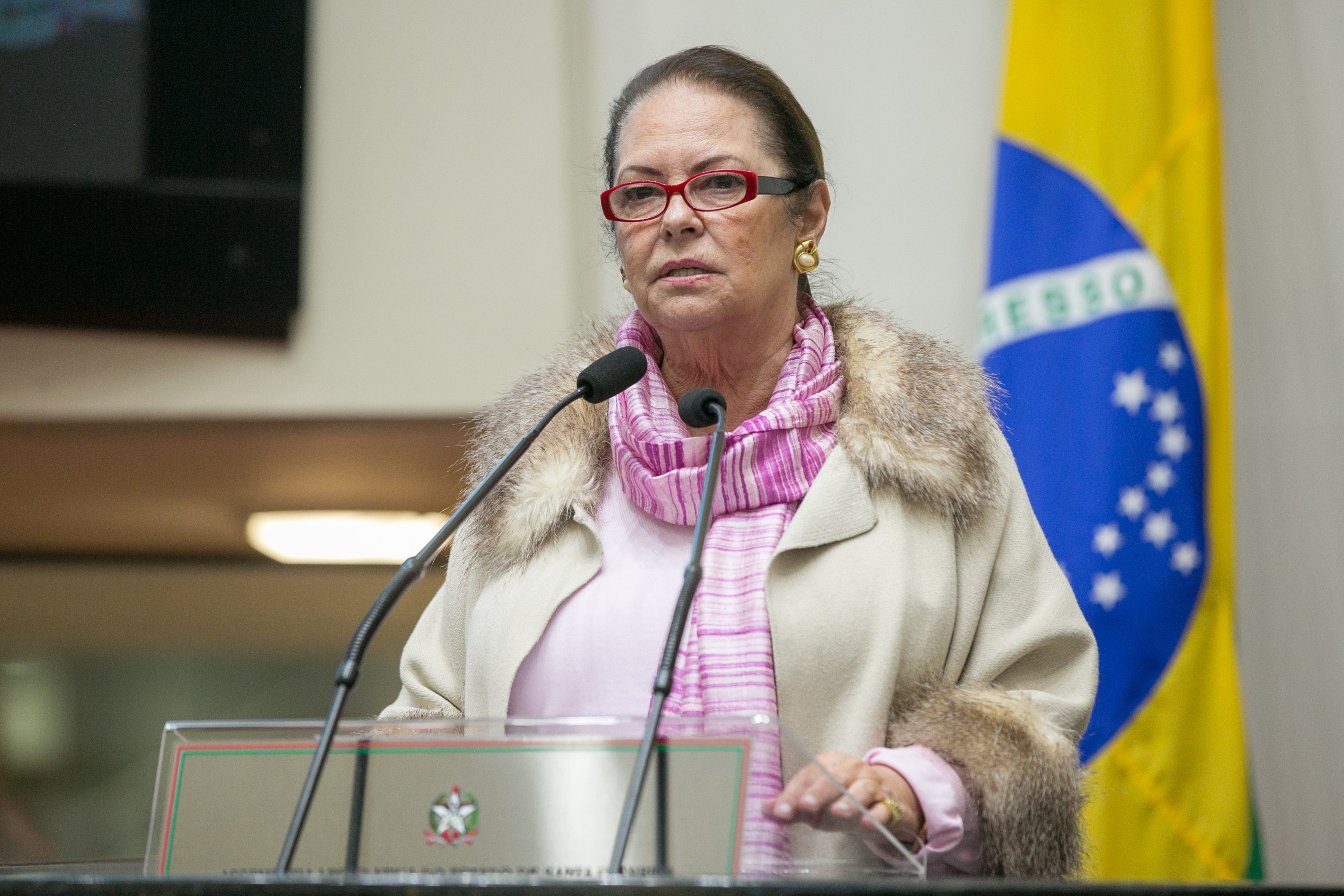 Deputada Ada De Luca (MDB)