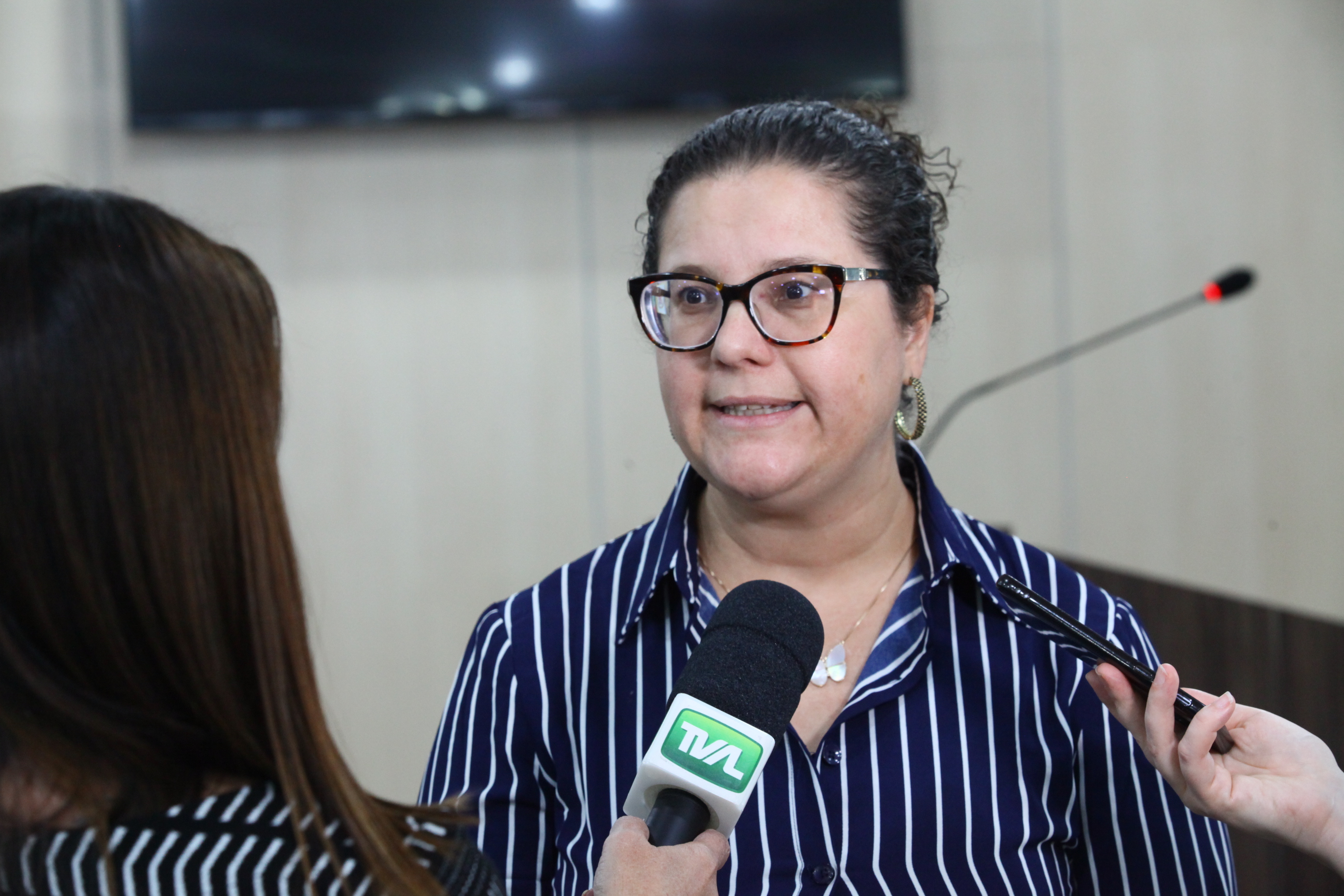 Seminário Transtorno do Espectro Autista em Blumenau - Ana Carolina Wolff Mota, psicóloga