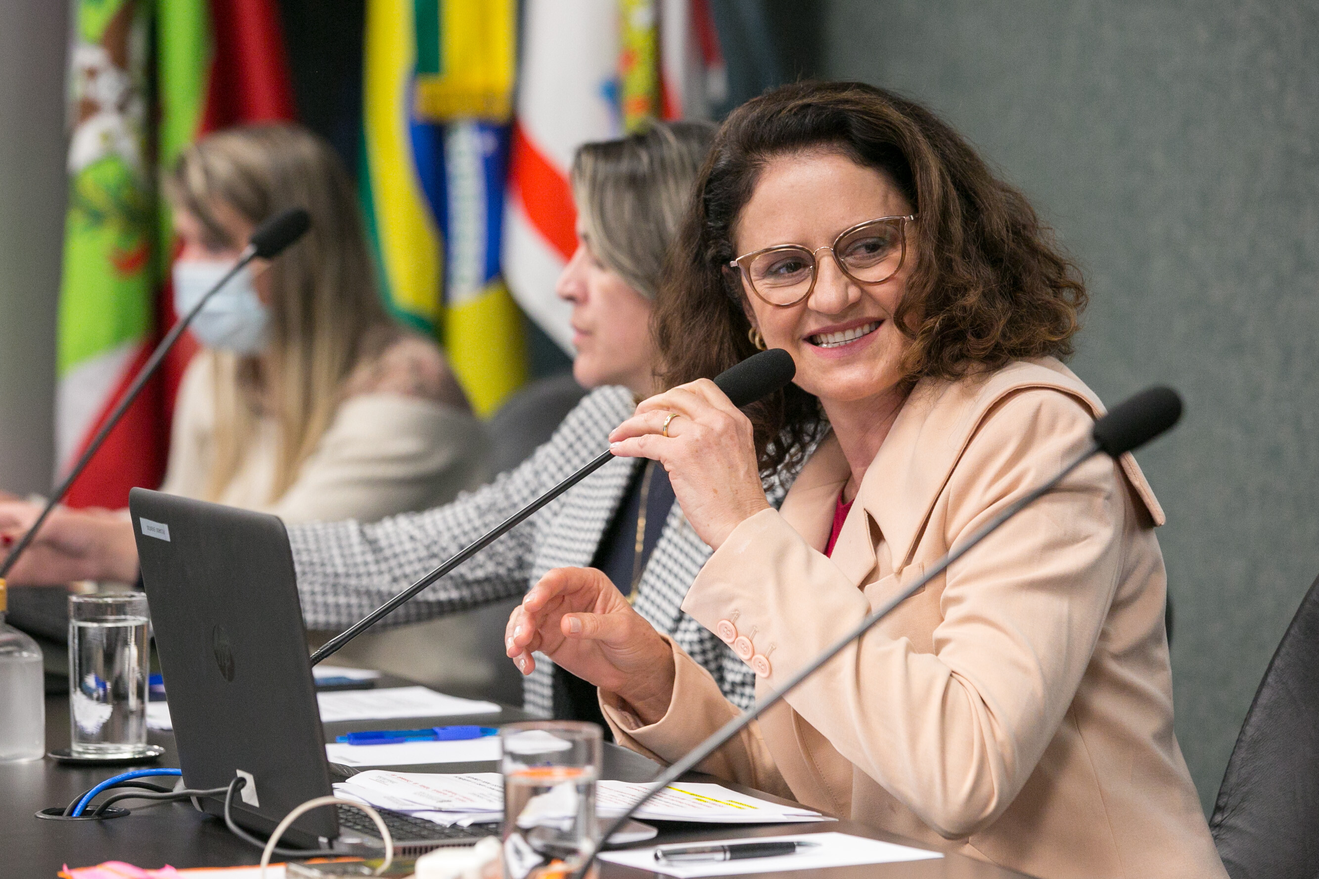 Deputada Marlene Fengler
