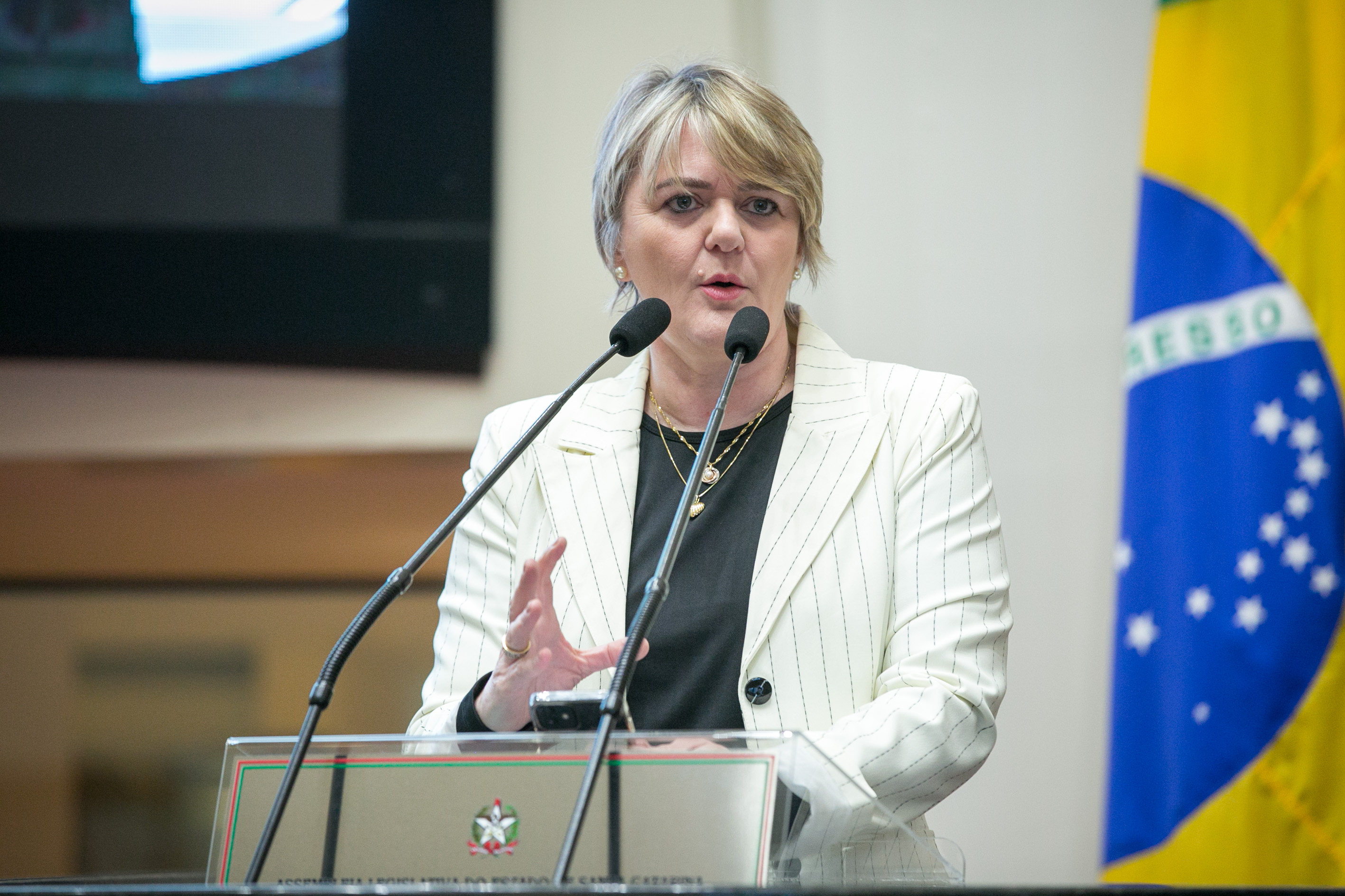 Deputada Luciane Carminatti (PT)