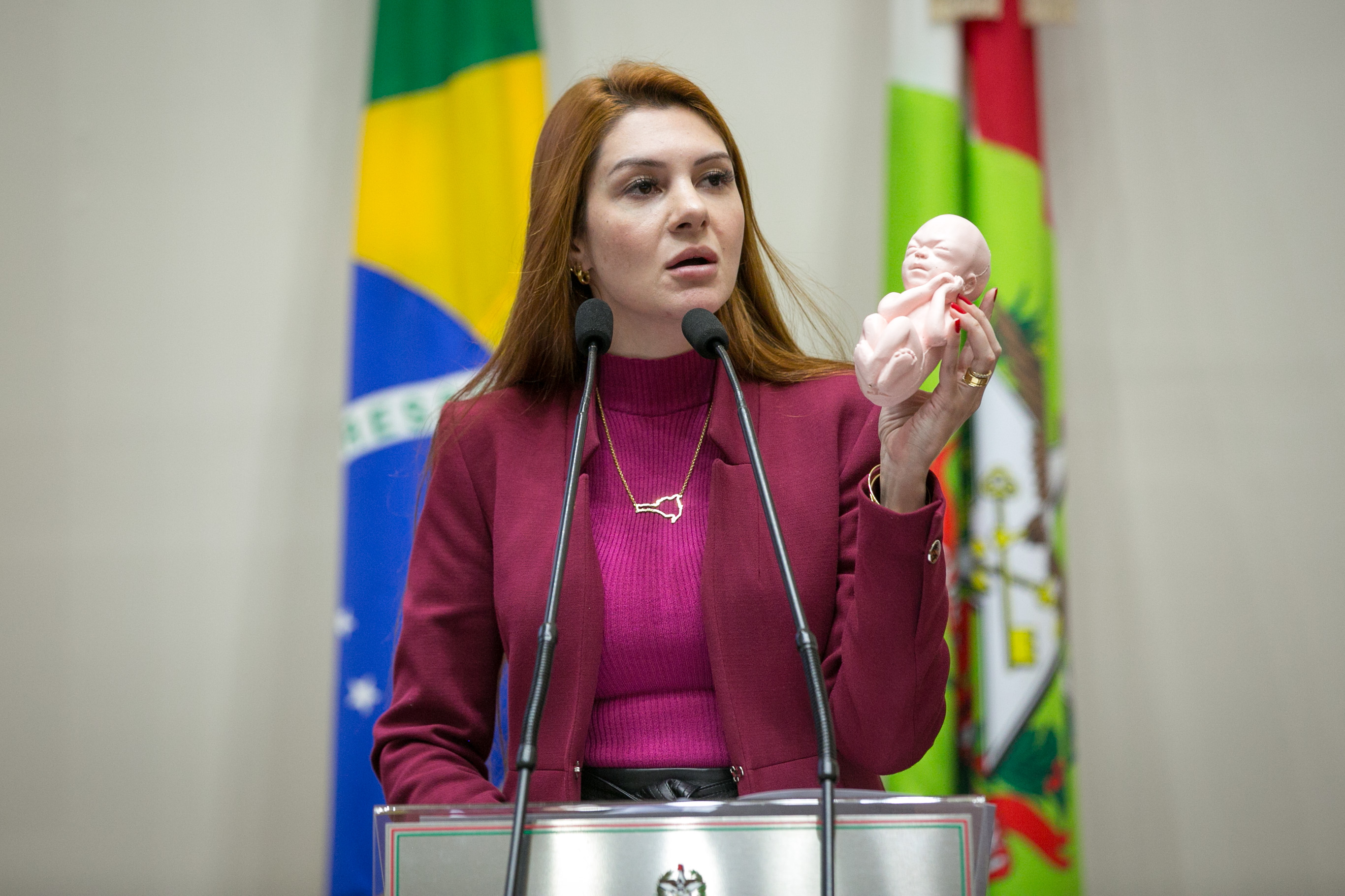 Deputada Ana Campagnolo (PL)