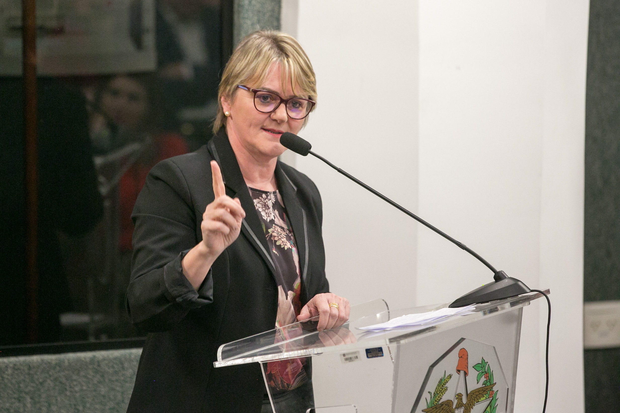 Deputada Luciane Carminatti (PT)