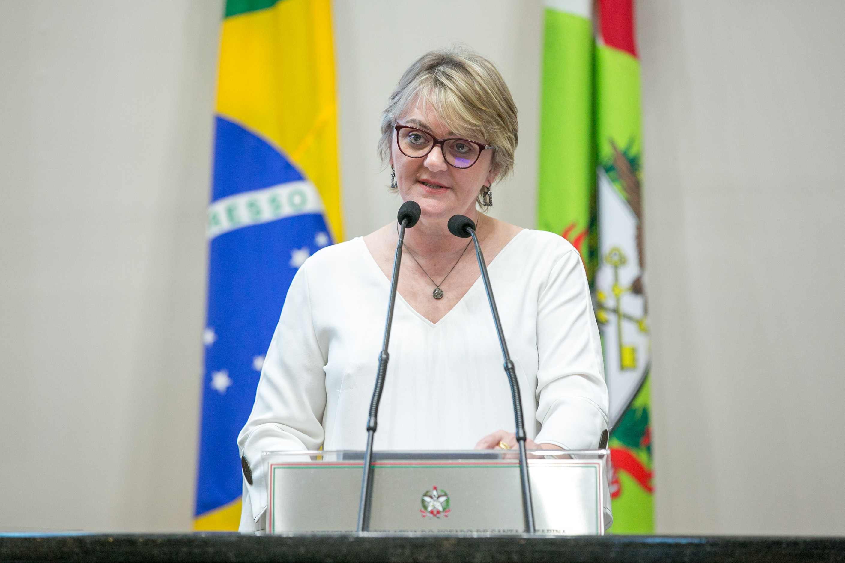 Deputada Luciane Carminatti (PT)