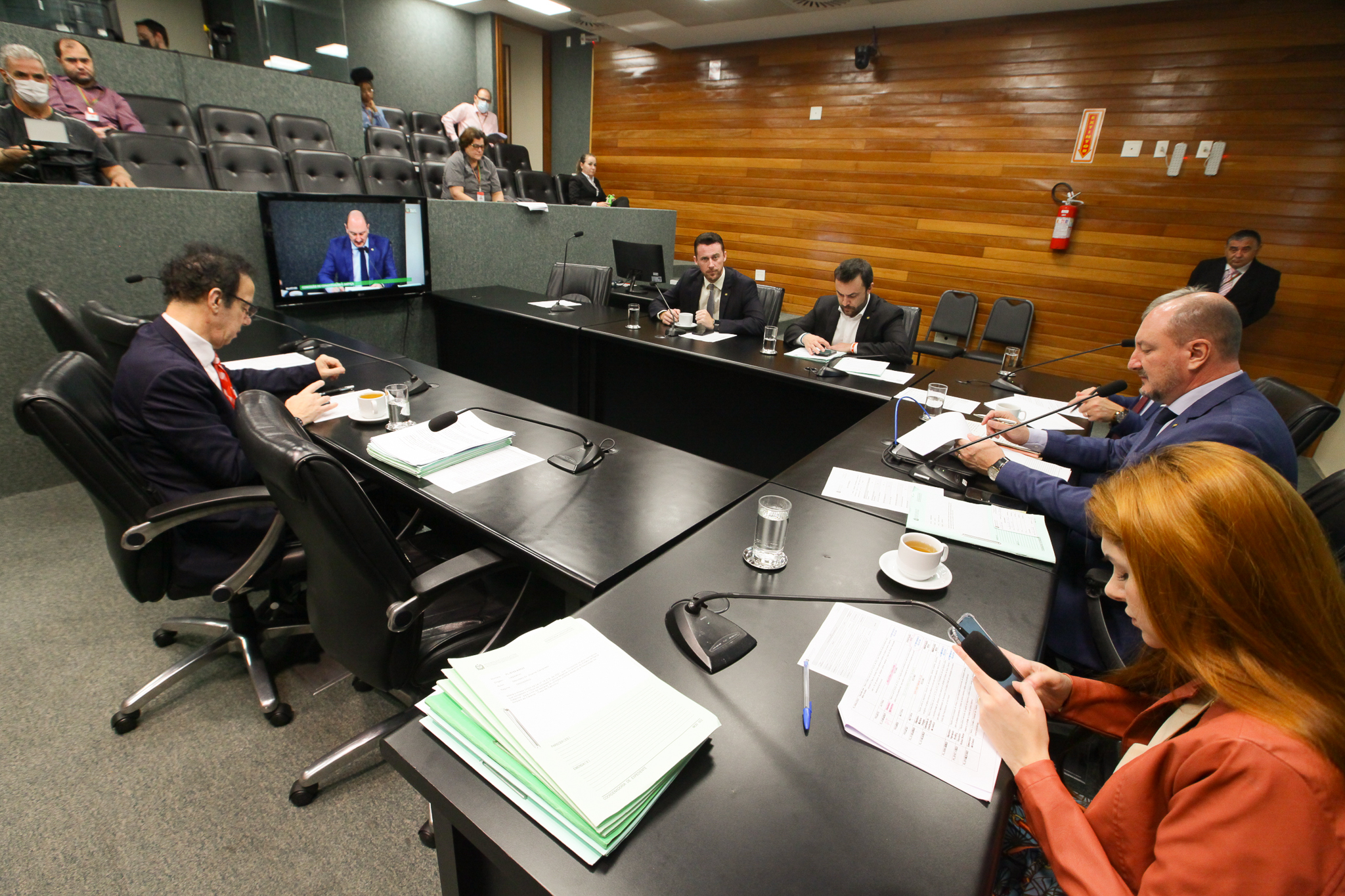 Comissão de Constituição e Justiça