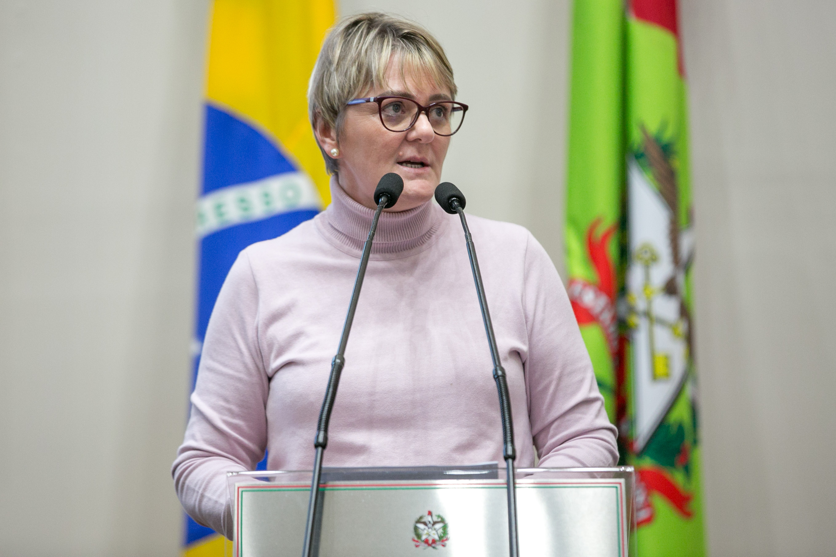 Deputada Luciane Carminatti (PT)