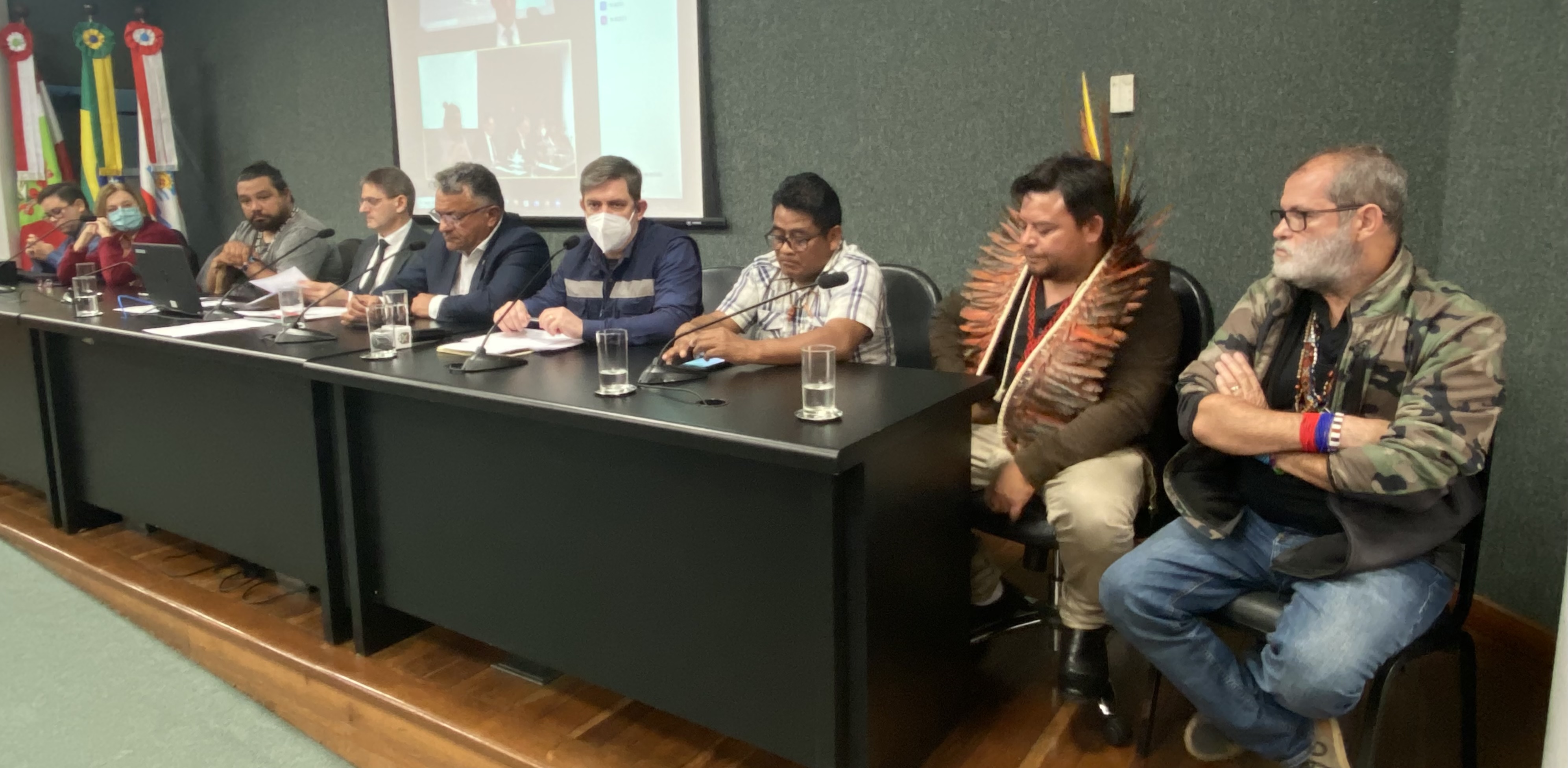 Audiência Pública- Saúde dos Povos Indígenas