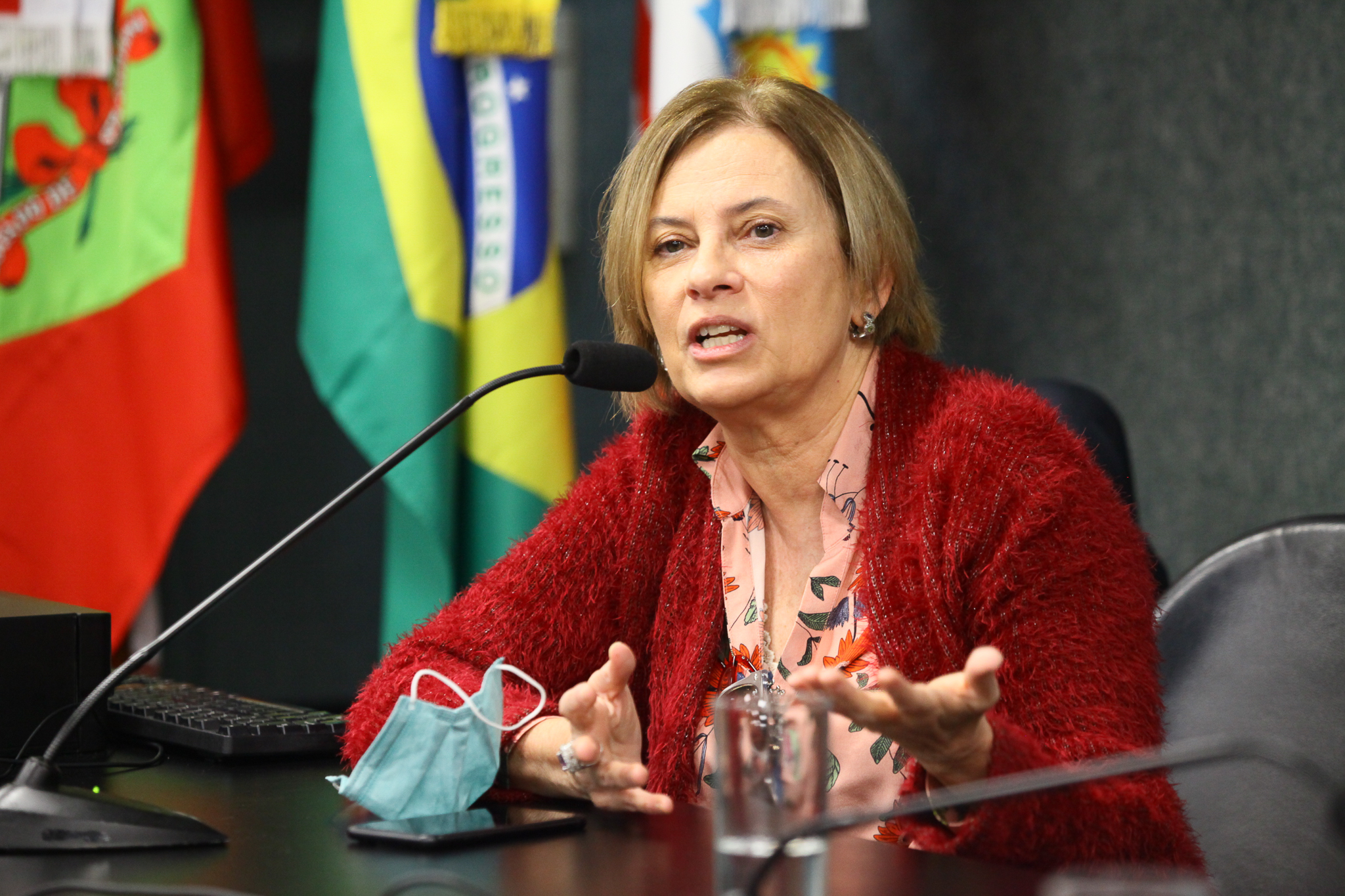 Audiência Pública- Saúde dos Povos Indígenas - Procuaradora Ana Lúcia Hatmann