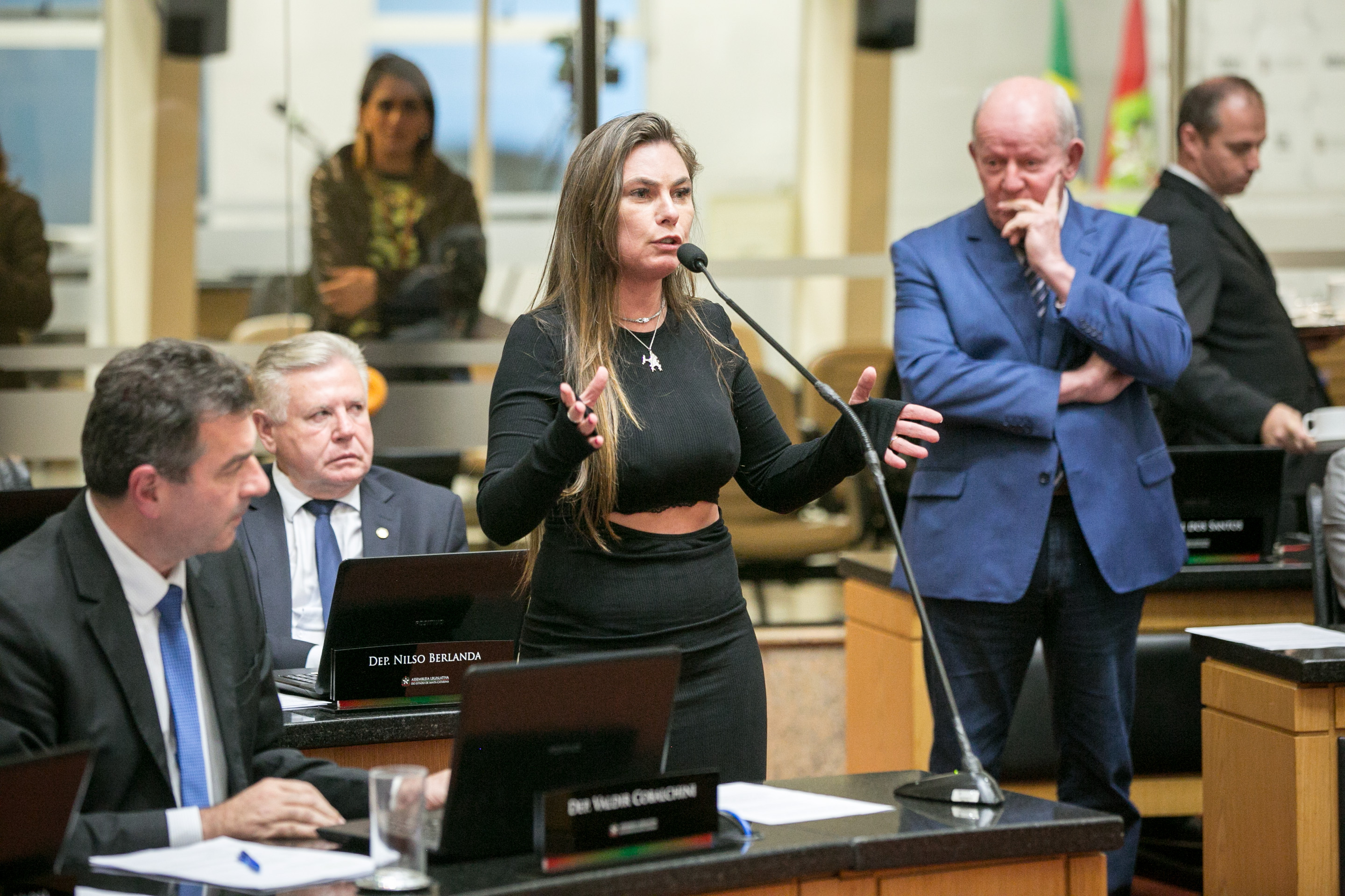 Deputada Paulinha (Podemos)
