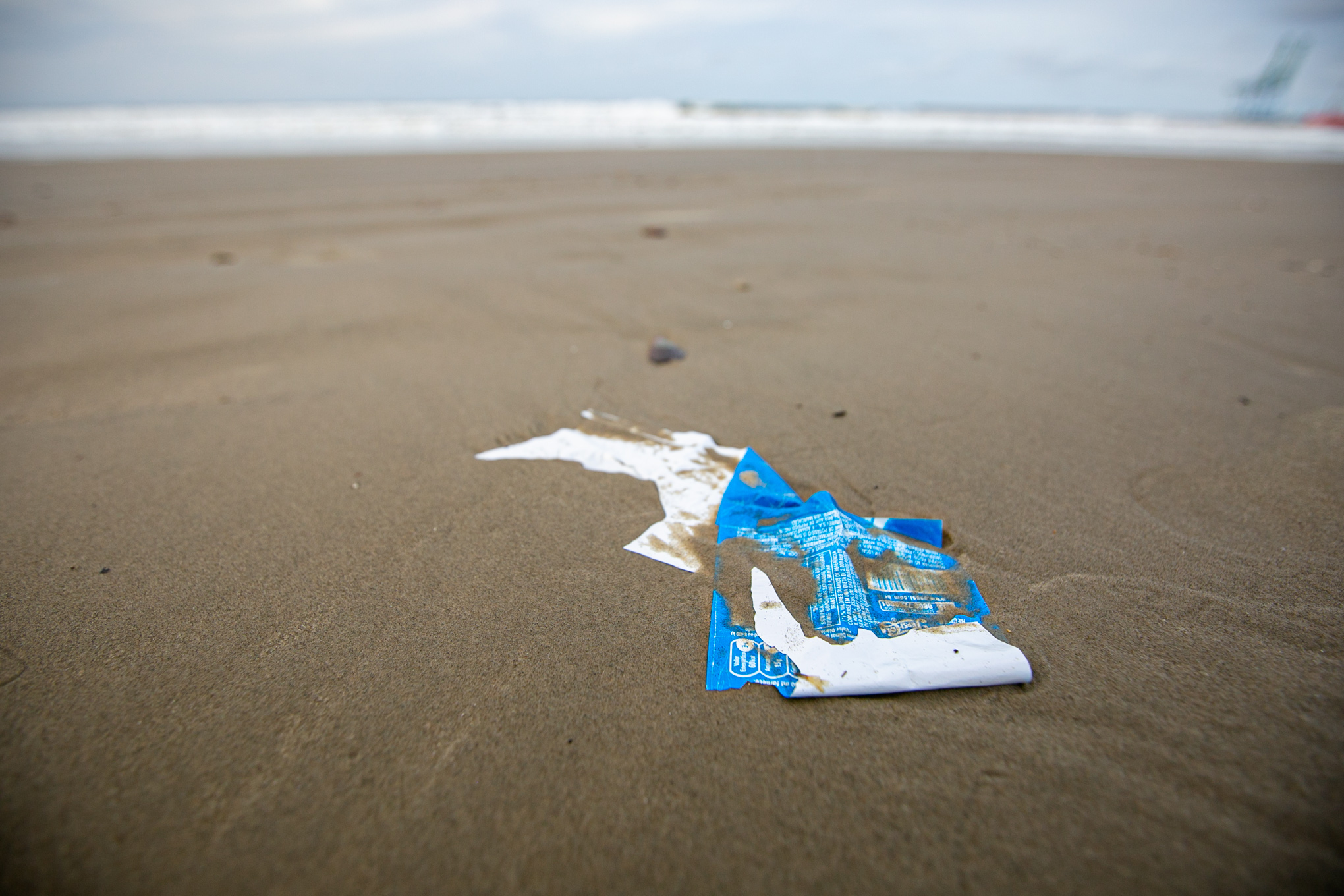 Instituto Ecosurf