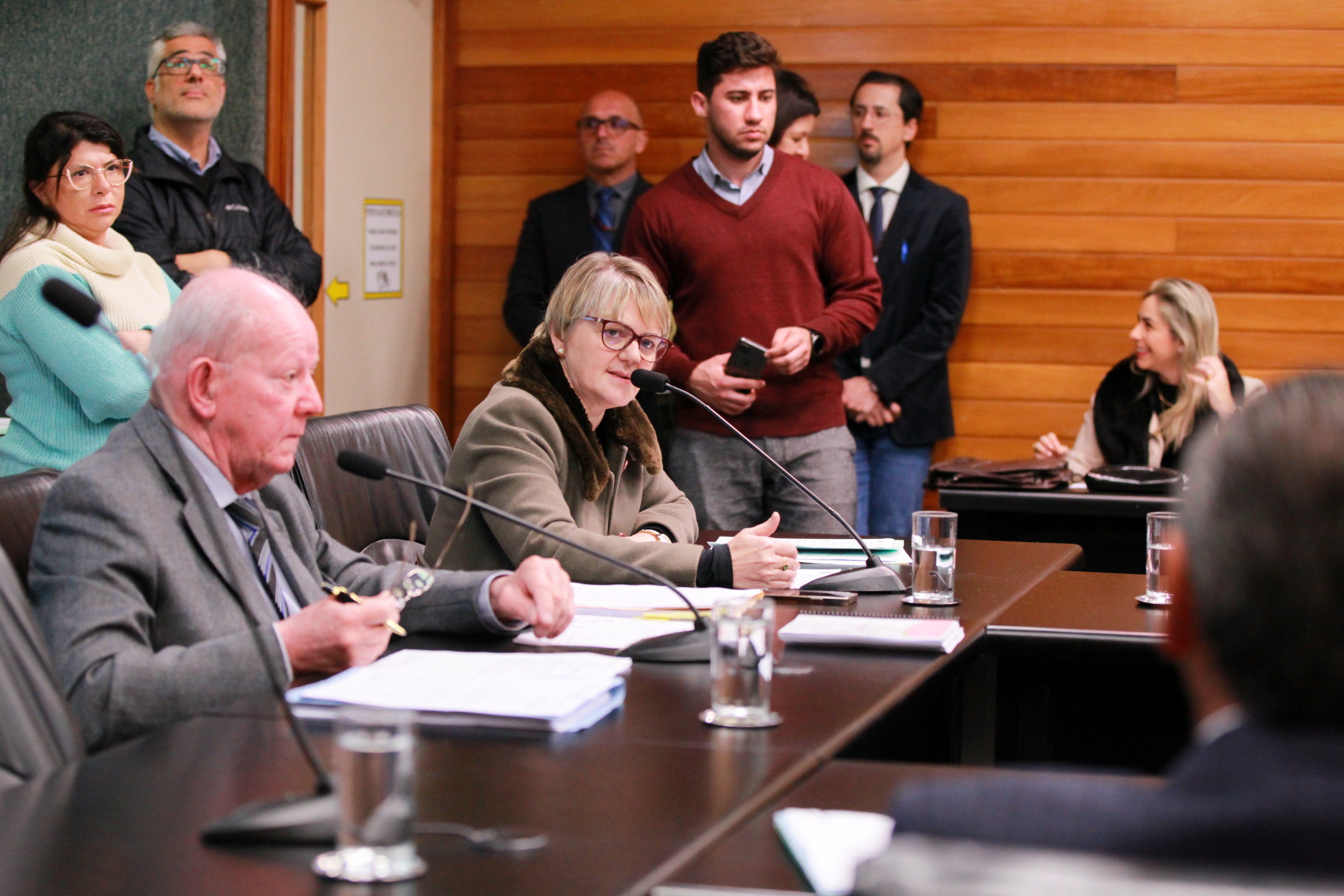 - Deputada Luciane Carminatti (PT)