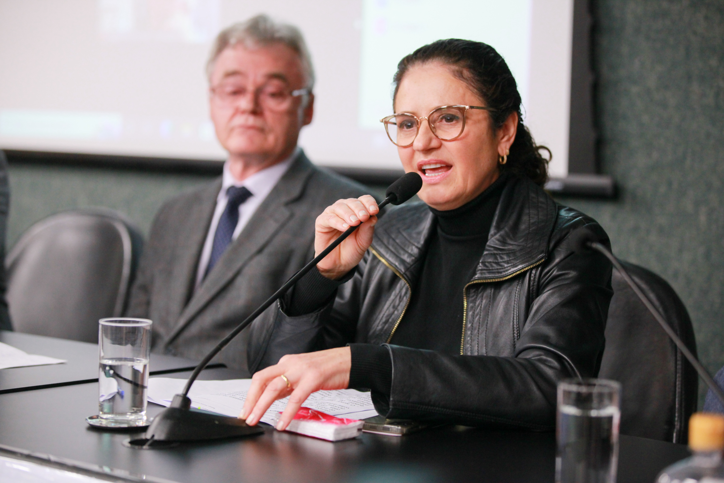- Deputada Marlene Fengler (PSD)