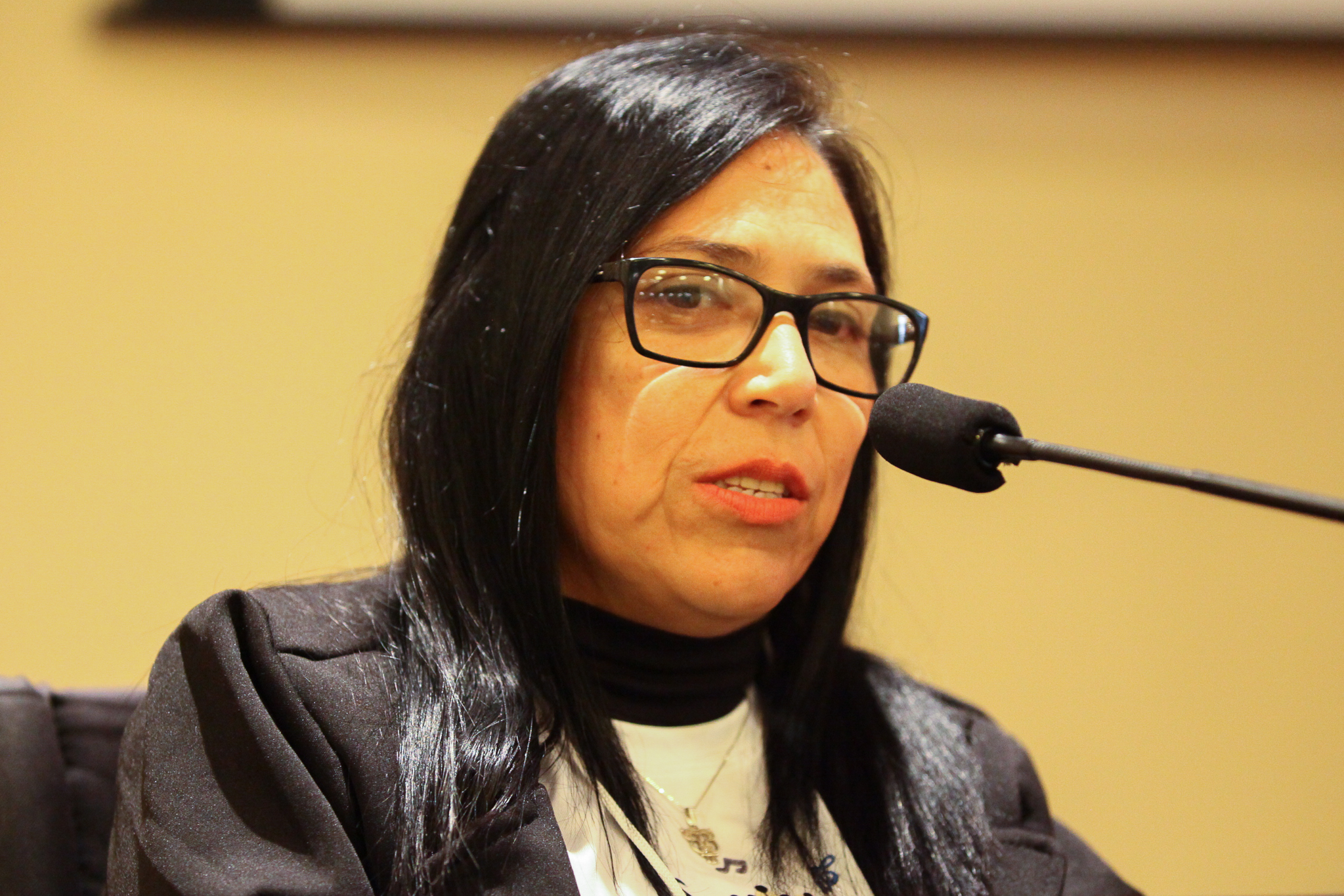 III Encontro Estadual dos Autodefensores das APAEs de Santa Catarina - Rosa da Silva