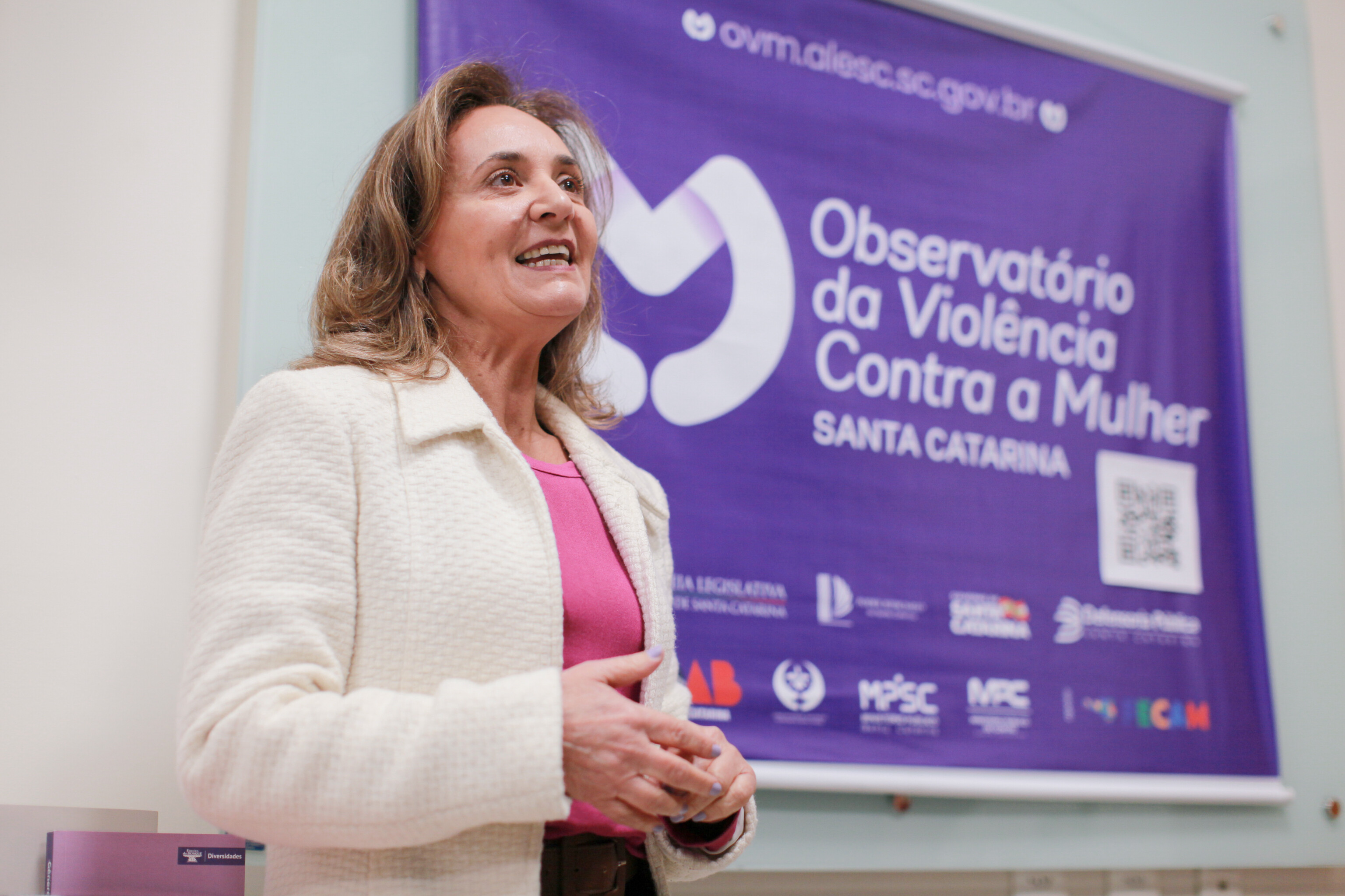Alesc sedia workshop para profissionais das Centrais de Penas e Medidas Alternativas