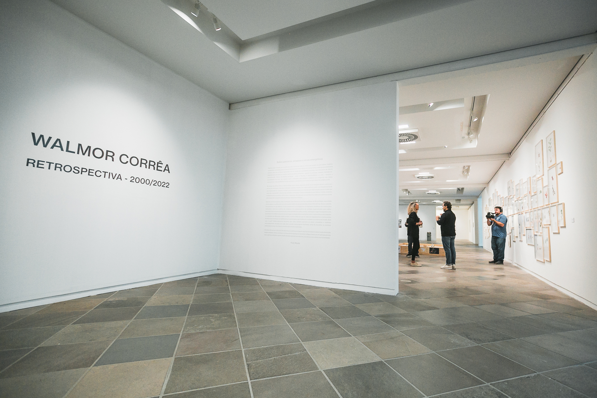 Cultura Catarina – Walmor Corrêa