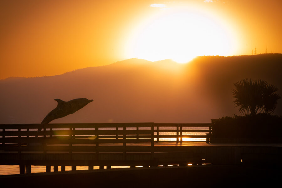 Laguna