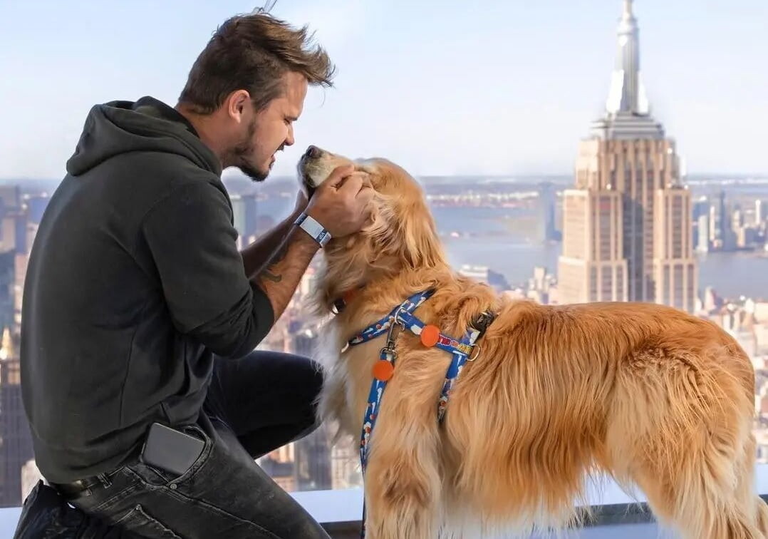Amizade entre cão e seu dono inspira PL aprovado na CCJ