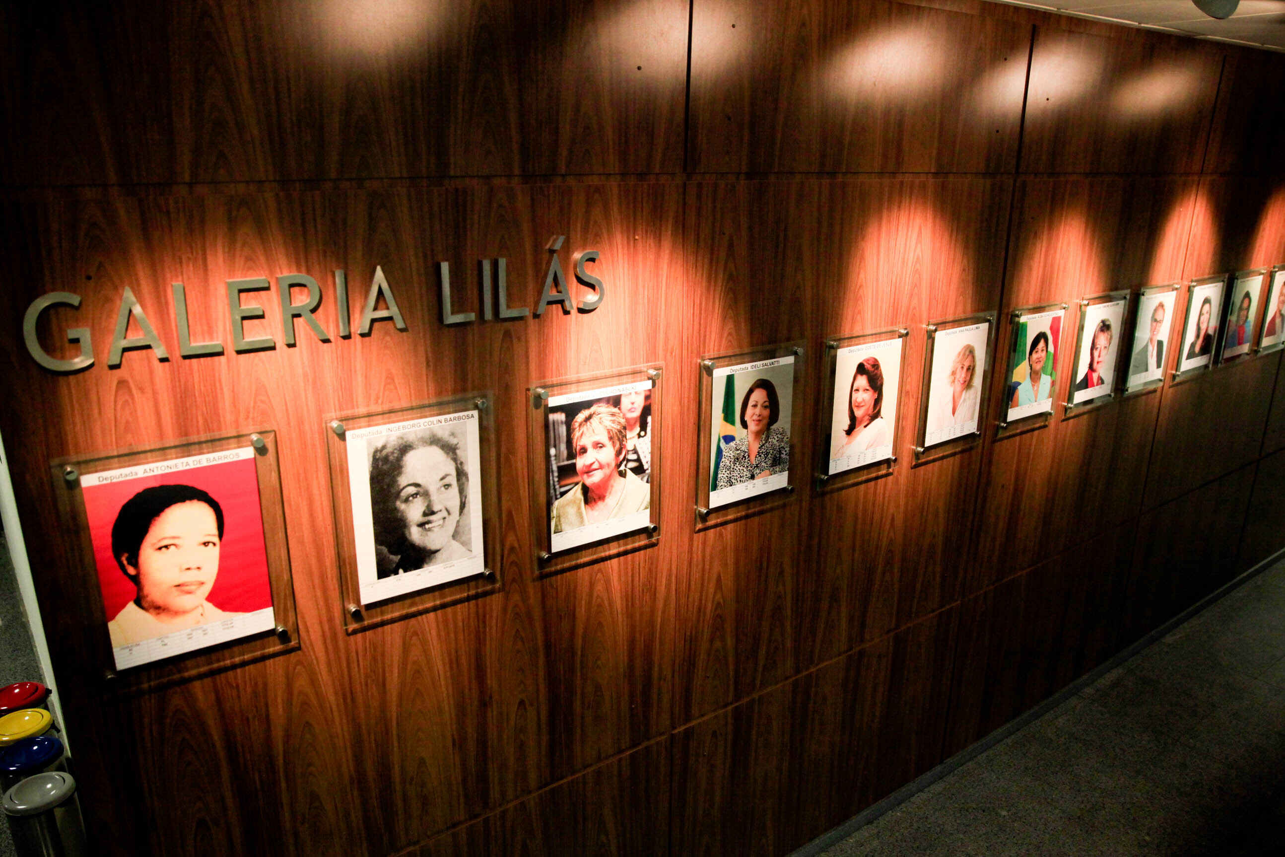 Cresce a participação feminina nas eleições para deputado estadual