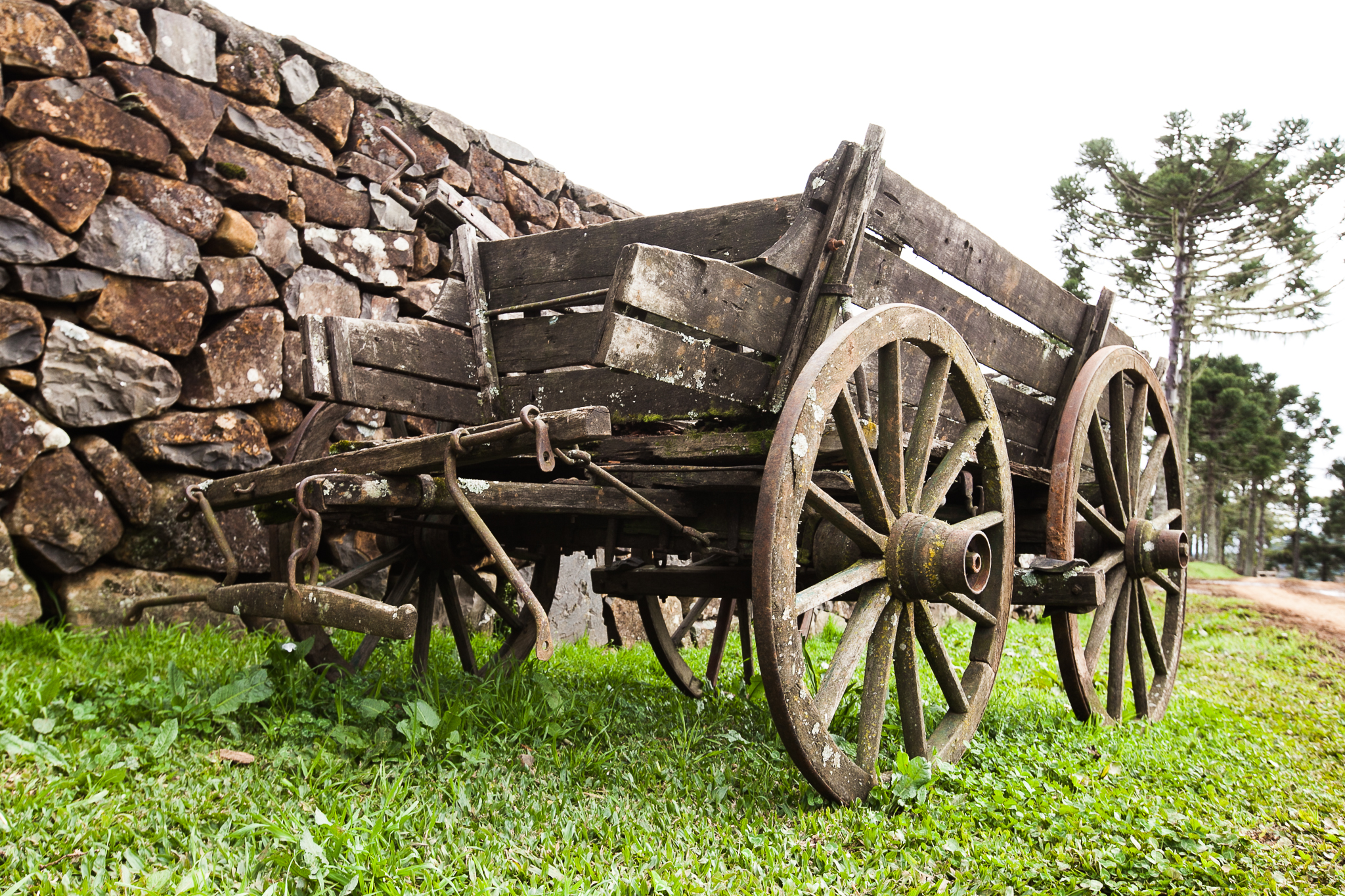 Fazenda da Chapada