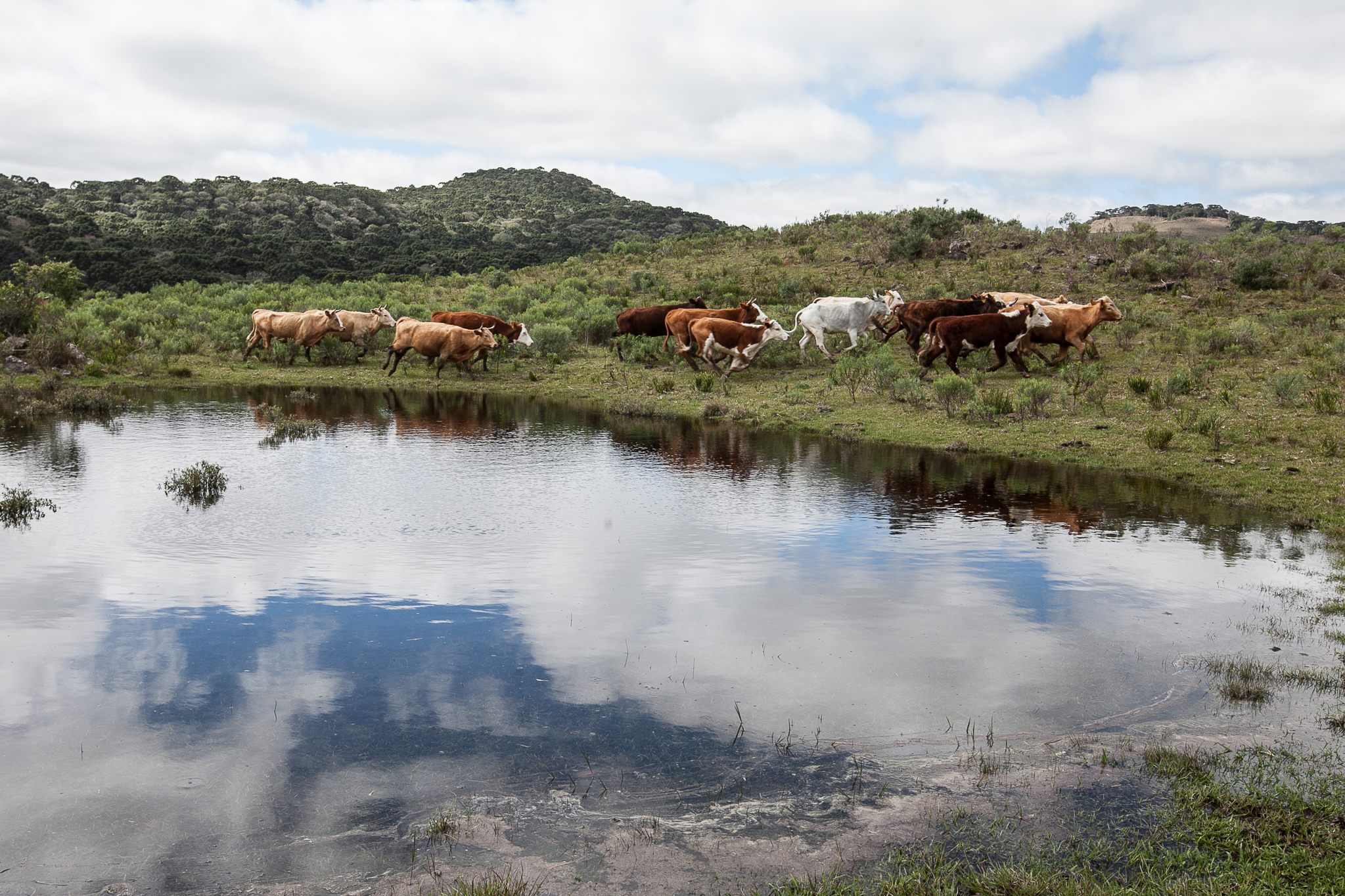 Fazenda da Chapada
