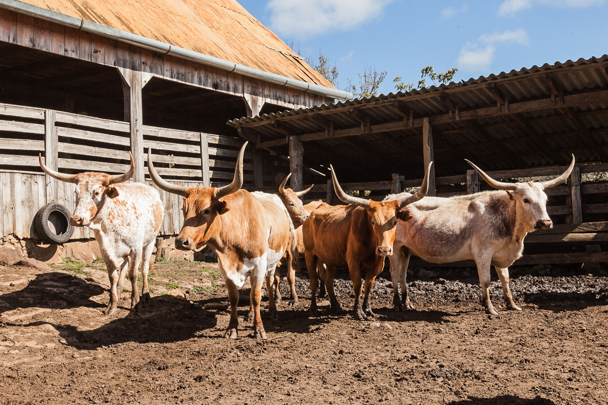 Fazenda Igrejinha