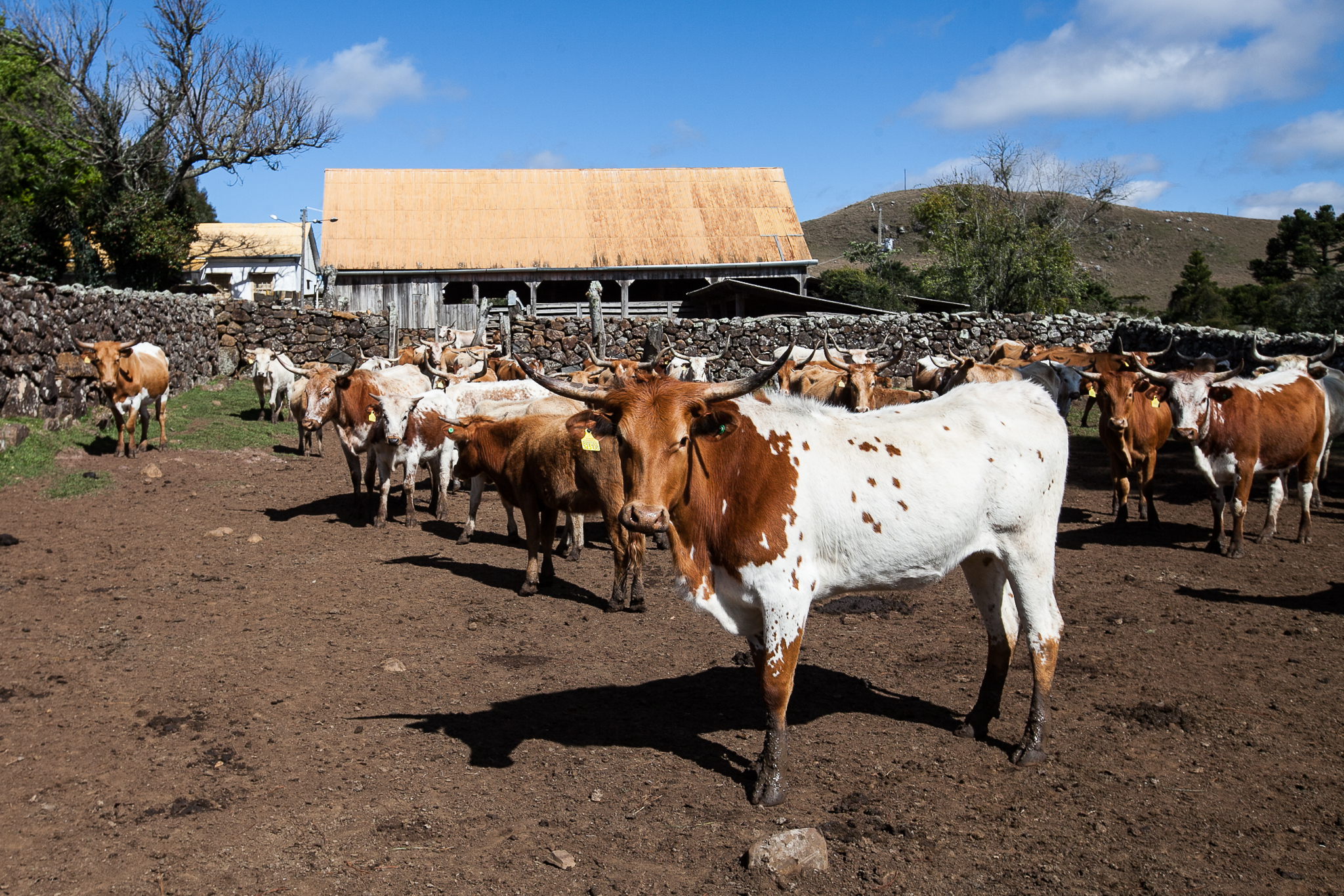 Fazenda Igrejinha