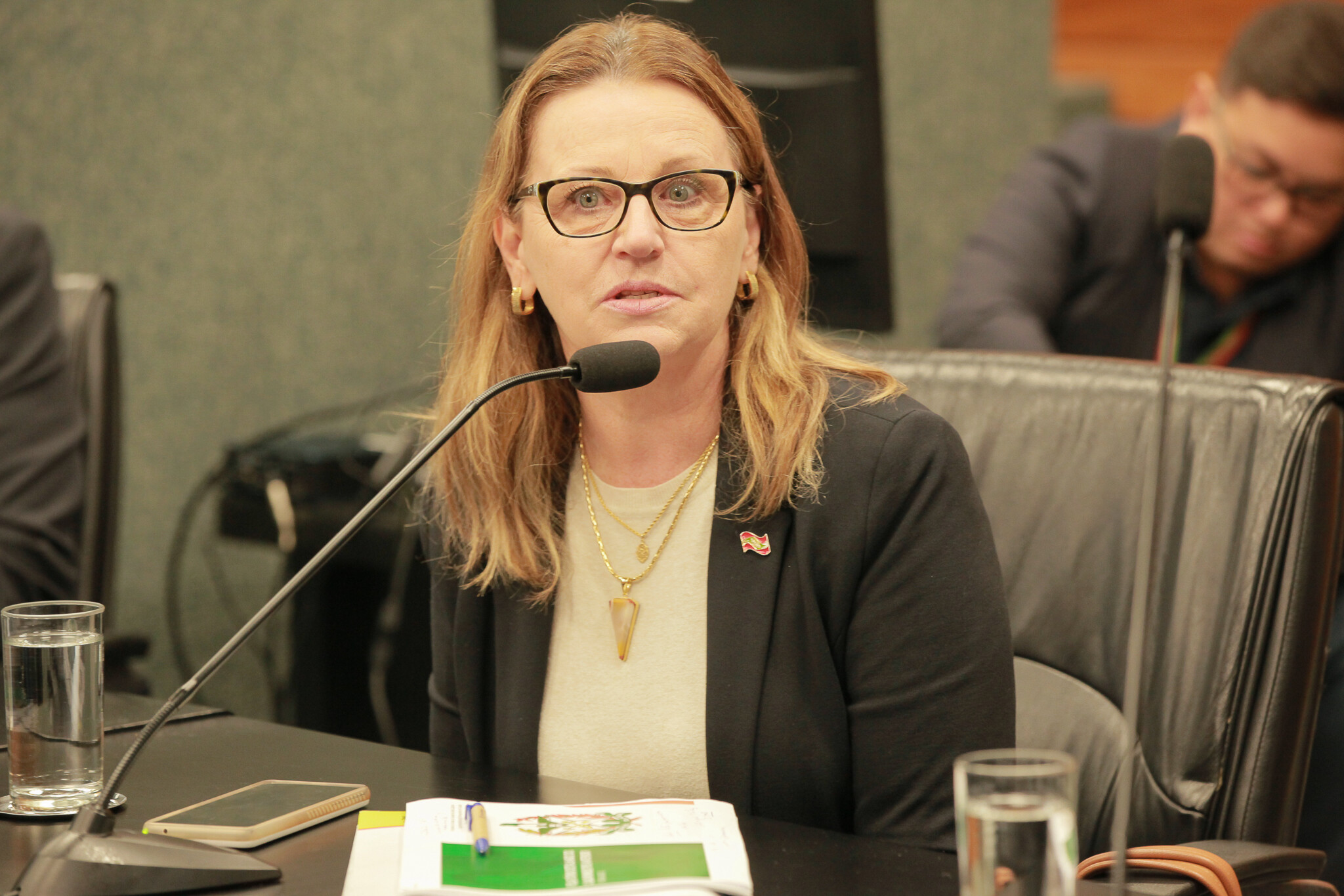 Carmen Regina Delziovo, superintendente de Planejamento em Saúde da SES.