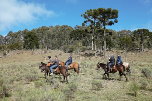 Cresce a demanda por cavalgadas de grupos pela Coxilha Rica