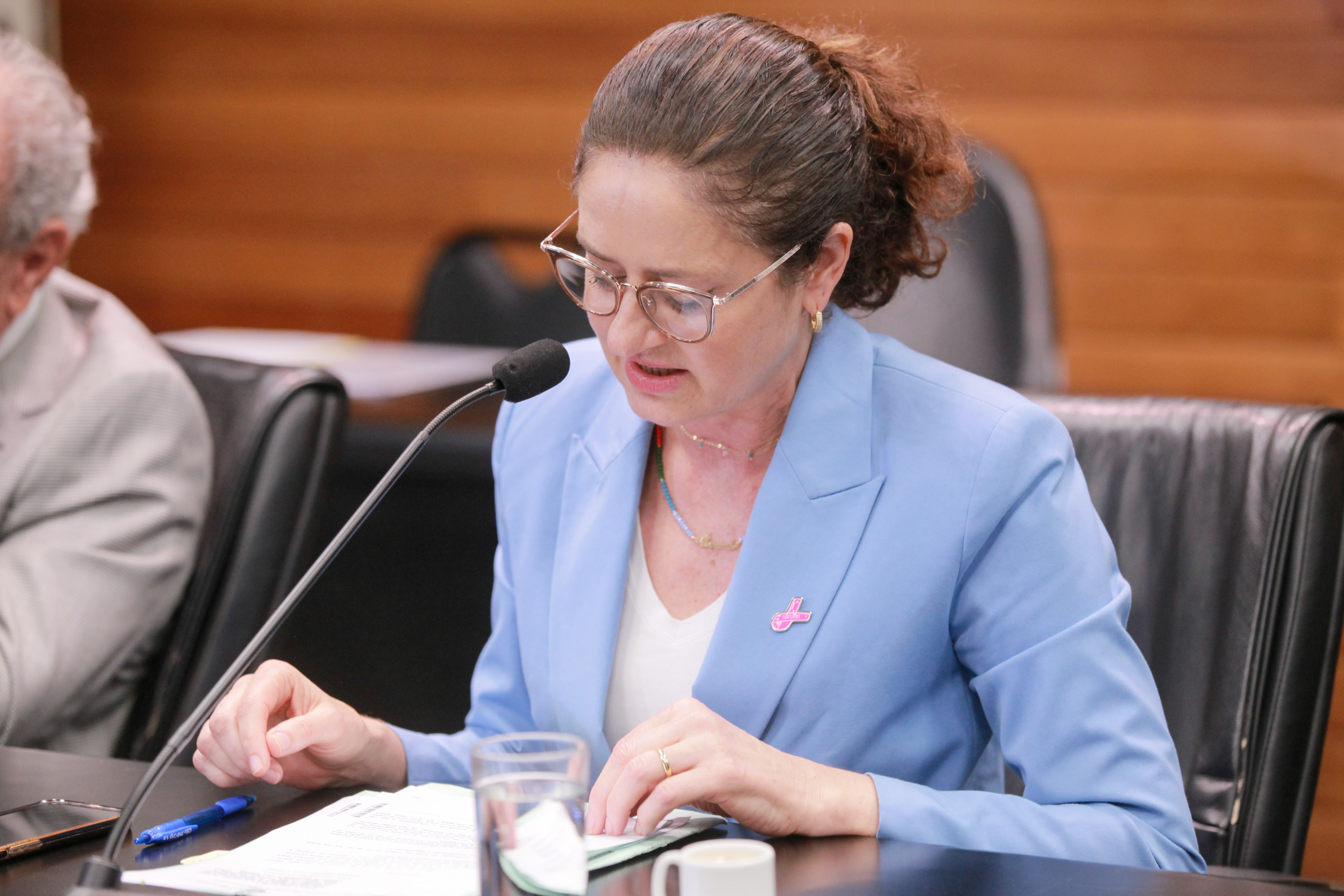 - Deputada Marlene Fengler (PSD)