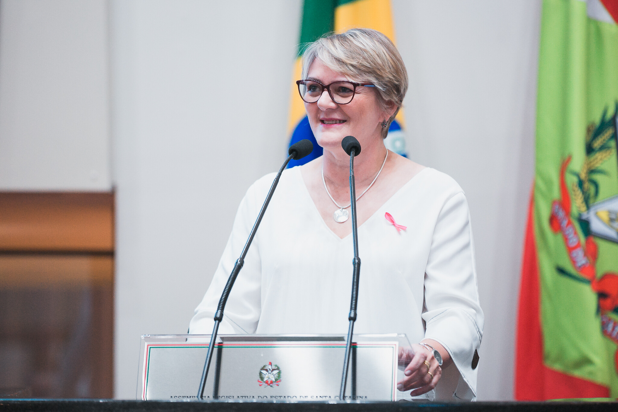 Deputada Luciane Carminatti.