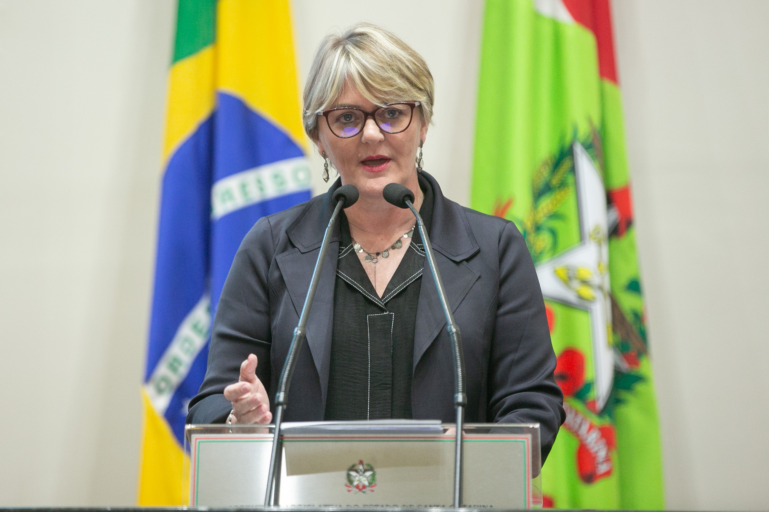 Deputada Luciane Carminatti (PT)