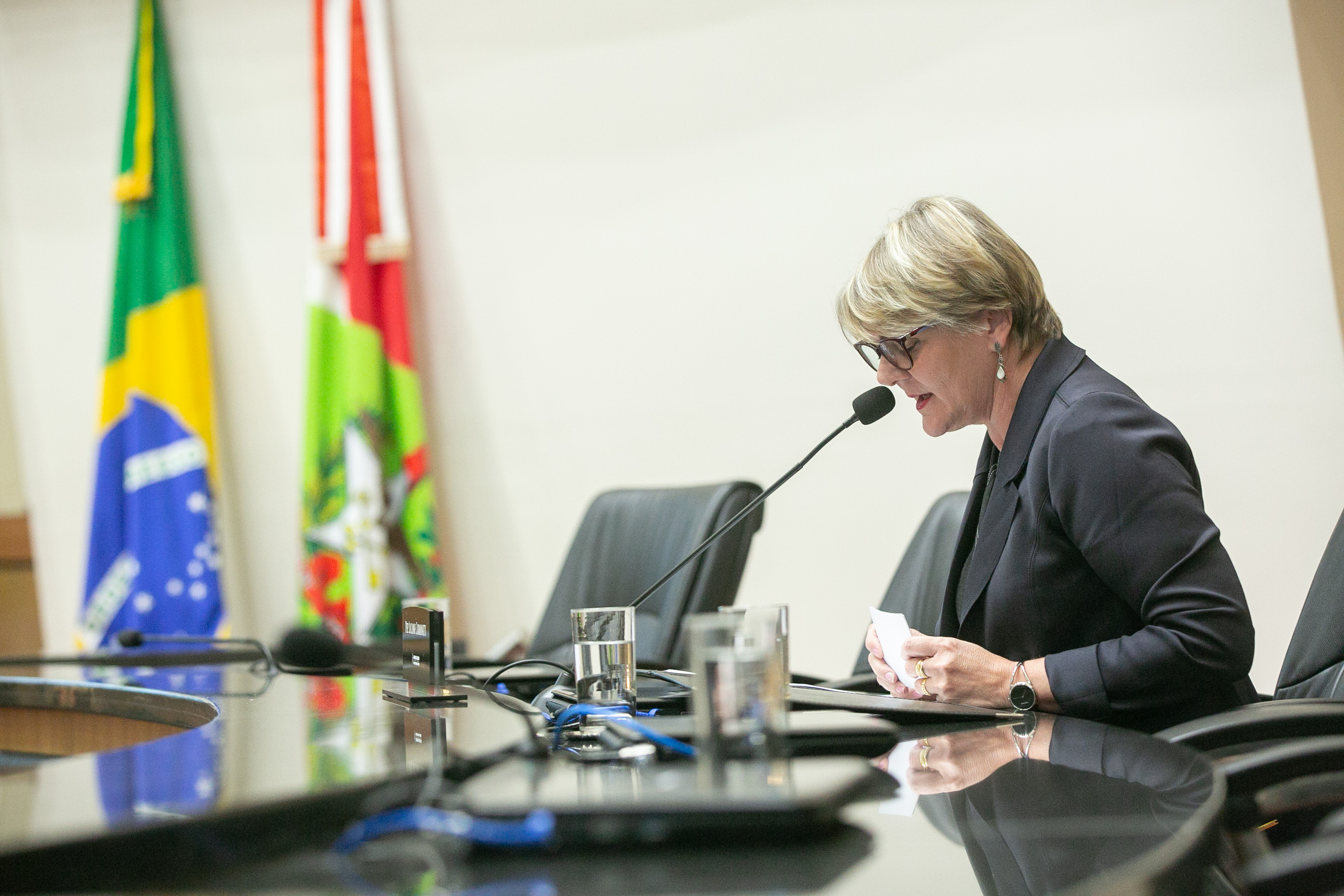 Deputada Luciane Carminatti (PT)
