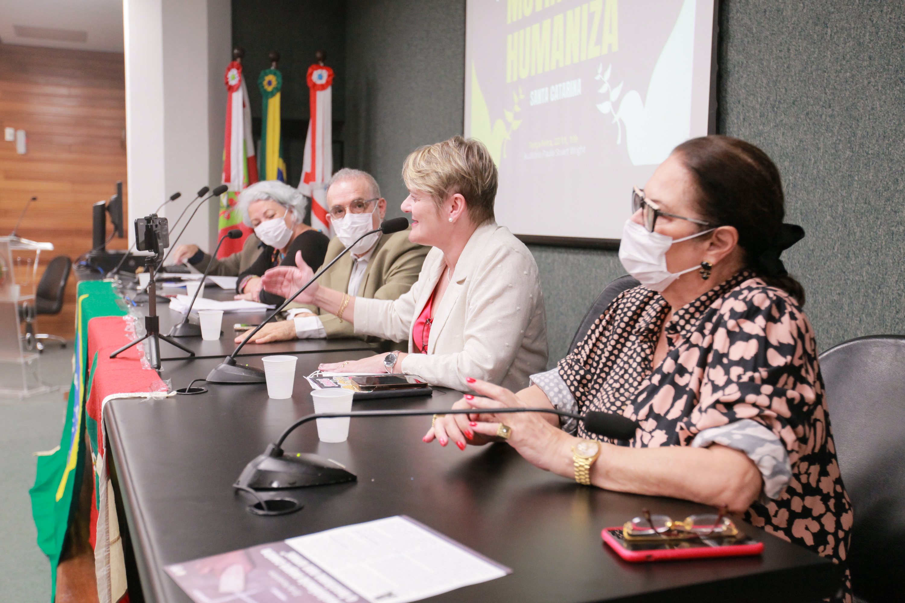- Movimento Humaniza Santa Catarina