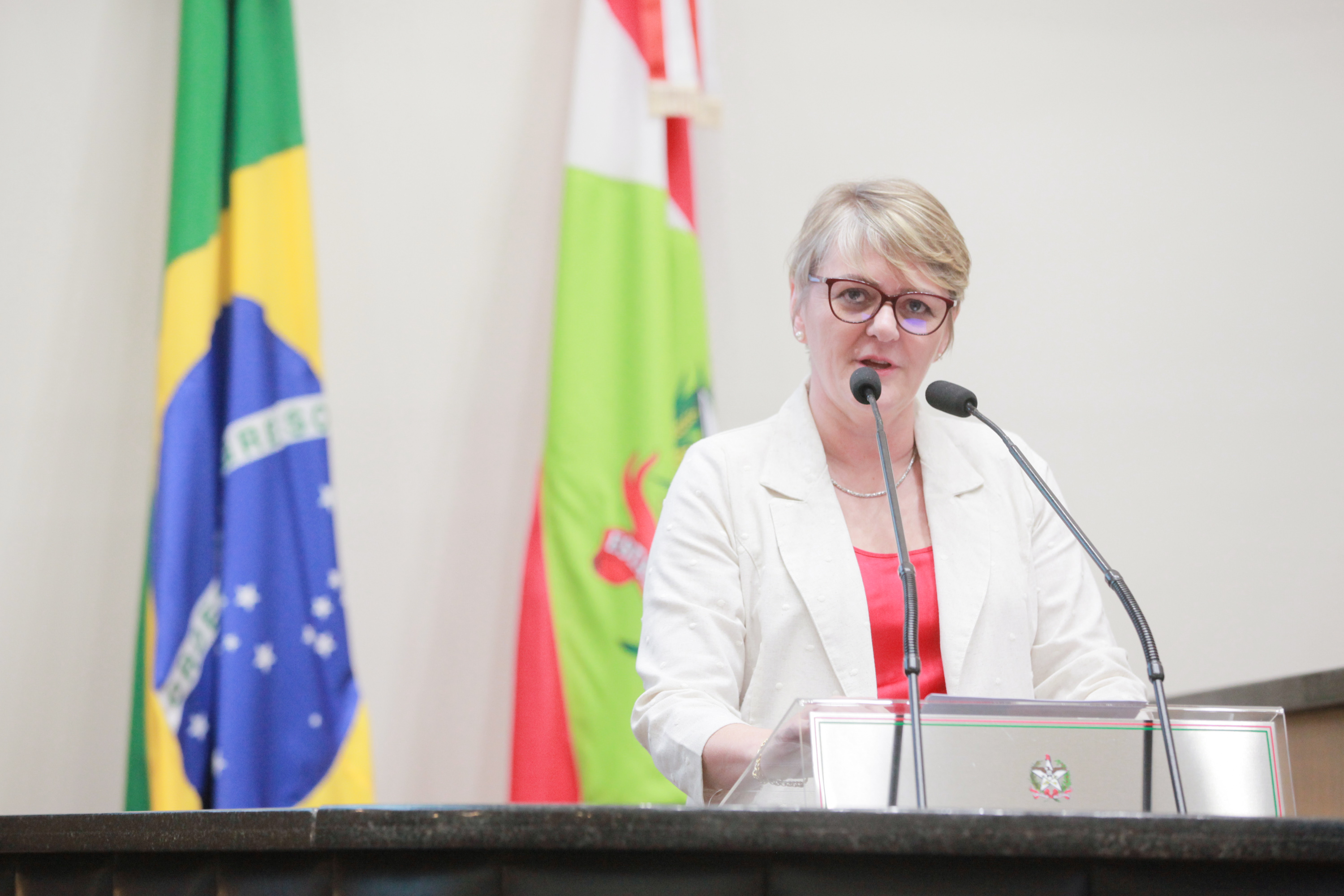 - Deputada Luciane Carminatti (PT)