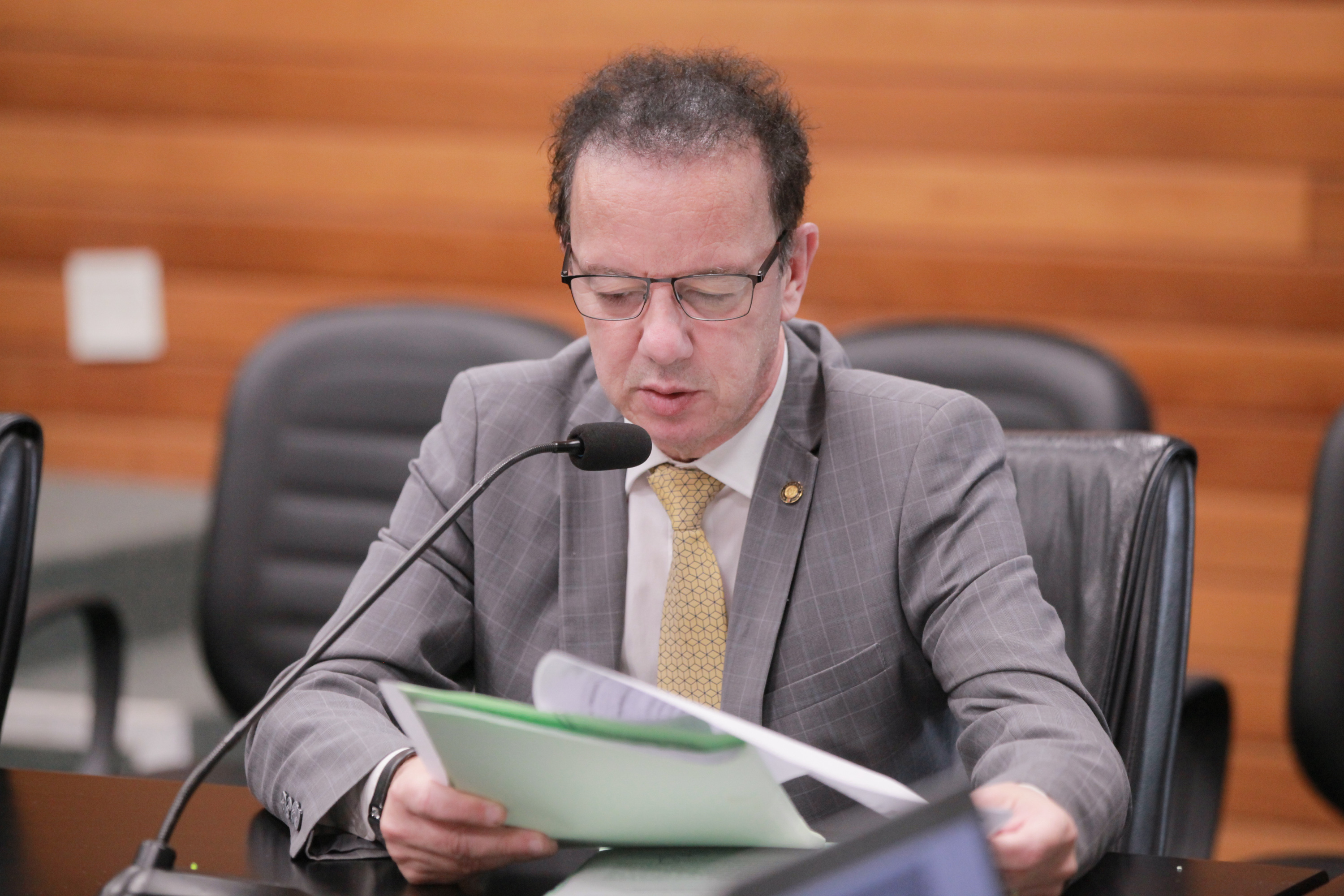 - Deputado Ismael Santos (PSD)