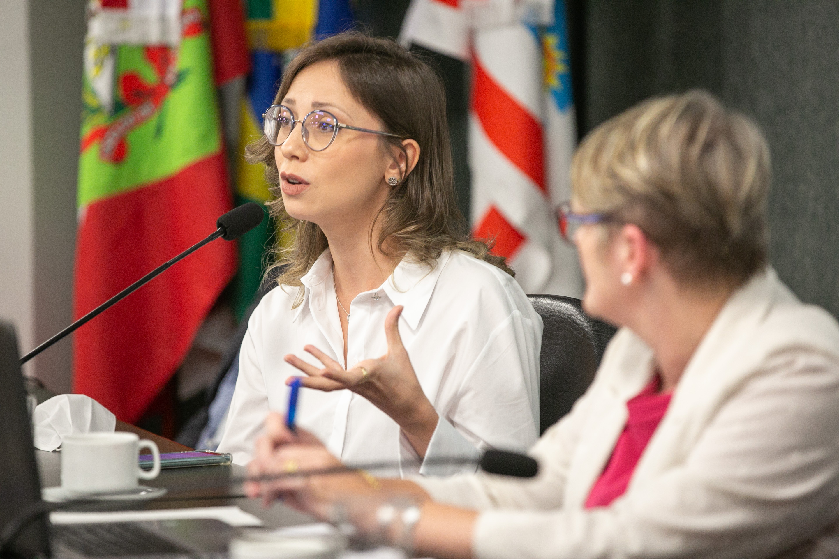 Defensora Pública Anne Teive Auras