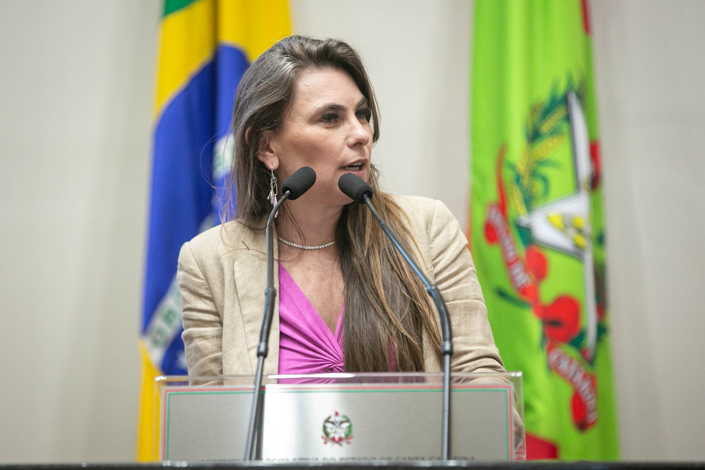 Deputada Paulinha (Podemos)