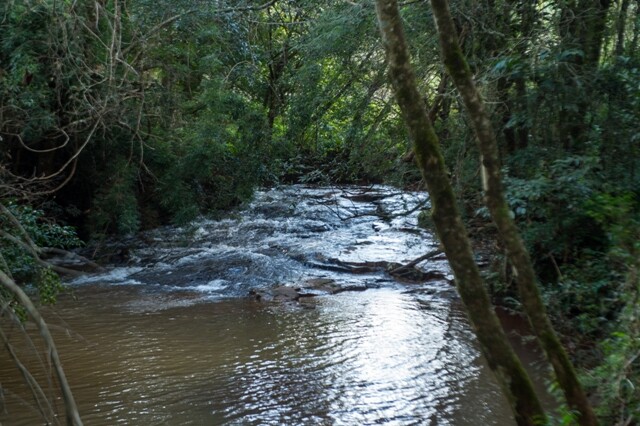 Curso de atualização em gestão ambiental pública inicia nesta terça-feira (8)
