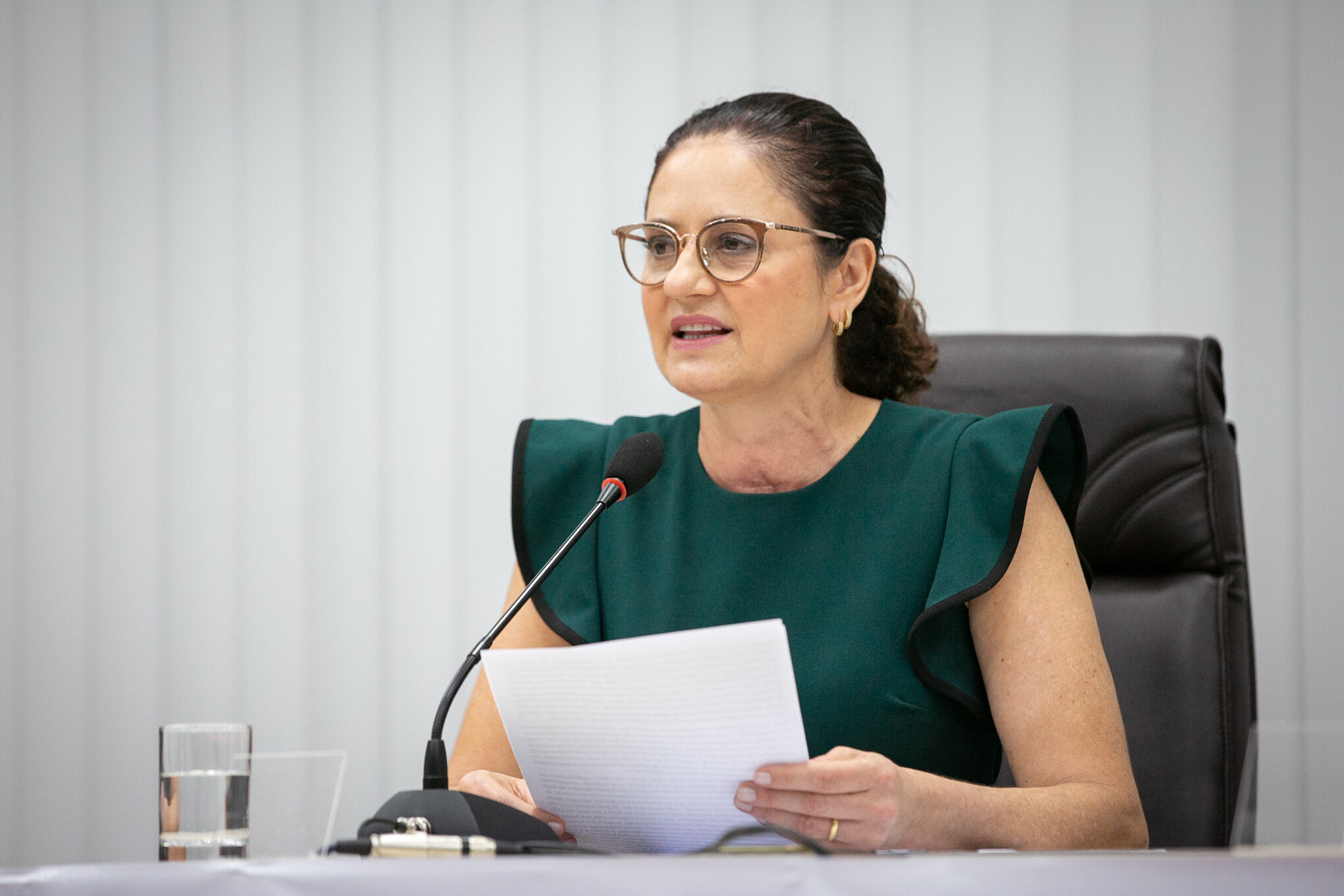 Deputada Marlene Fengler (PSD) foi a proponente da homenagem.