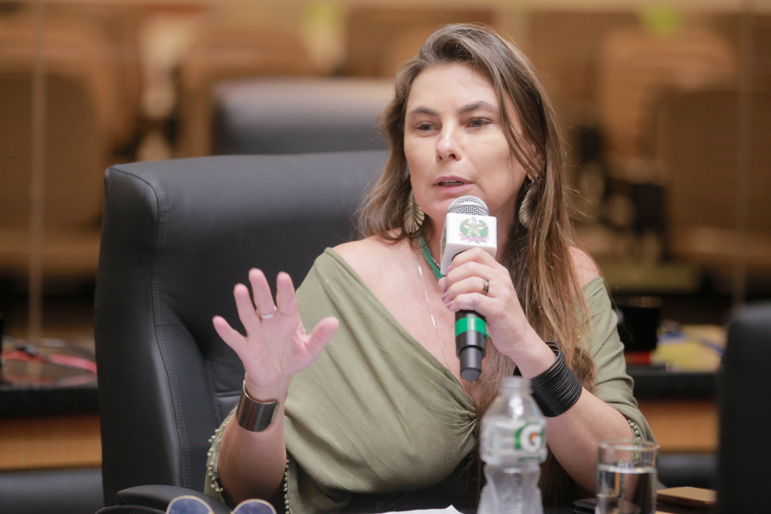 - Deputada Paulinha (Podemos)