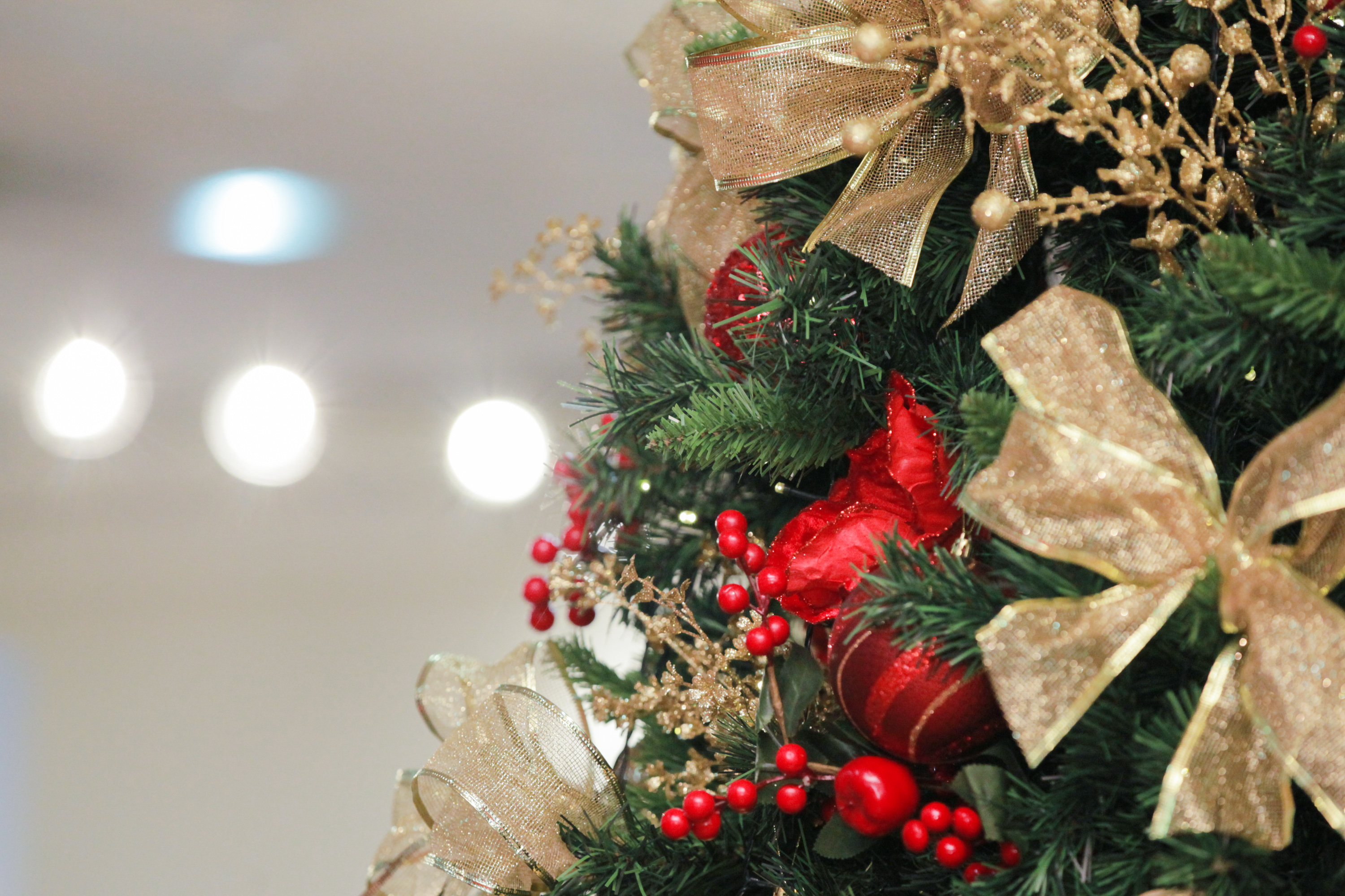 Alesc comemora a chegada do Natal com apresentações culturais