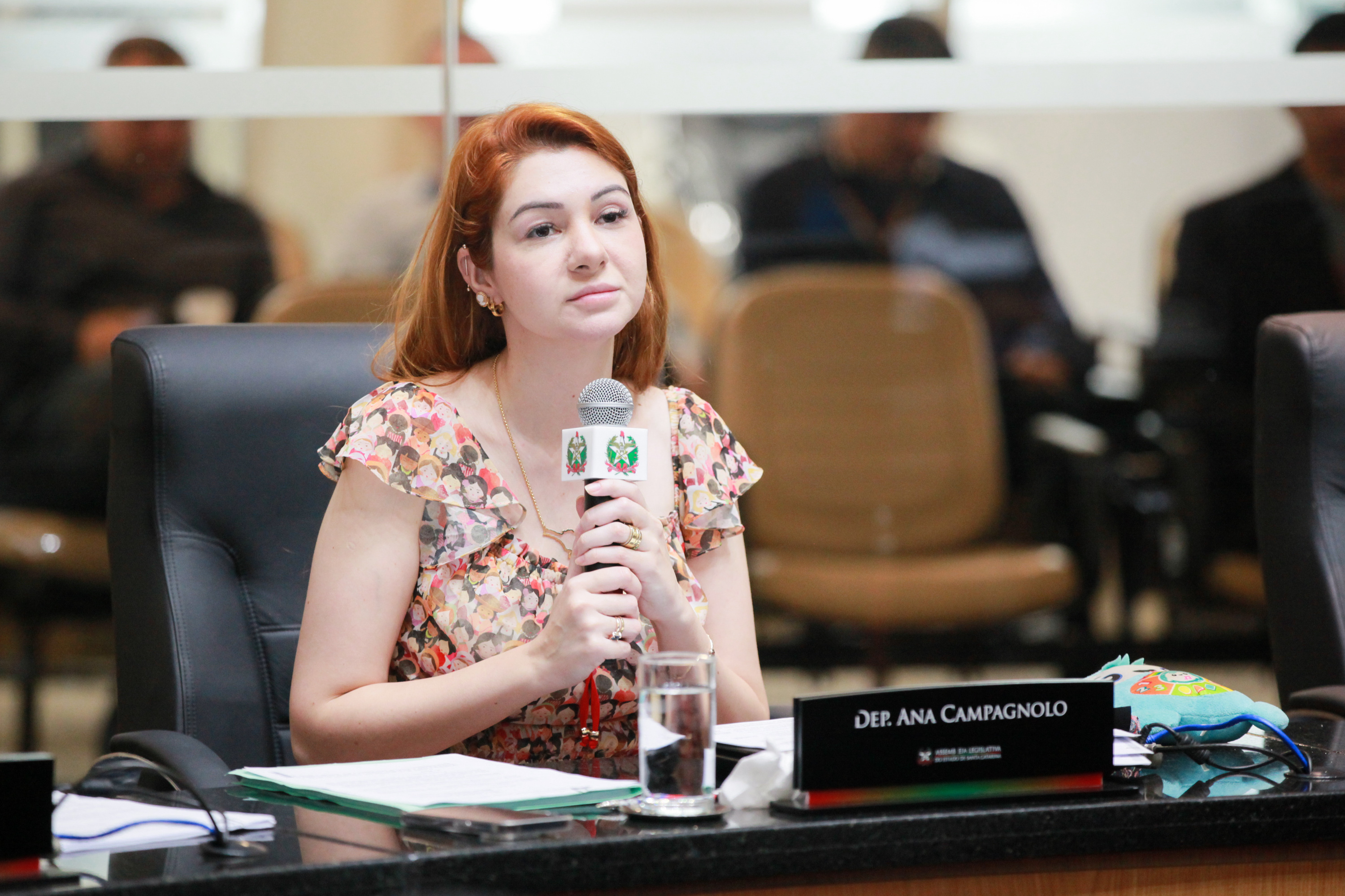 - Deputada Ana Caroline Campagnolo (PL)