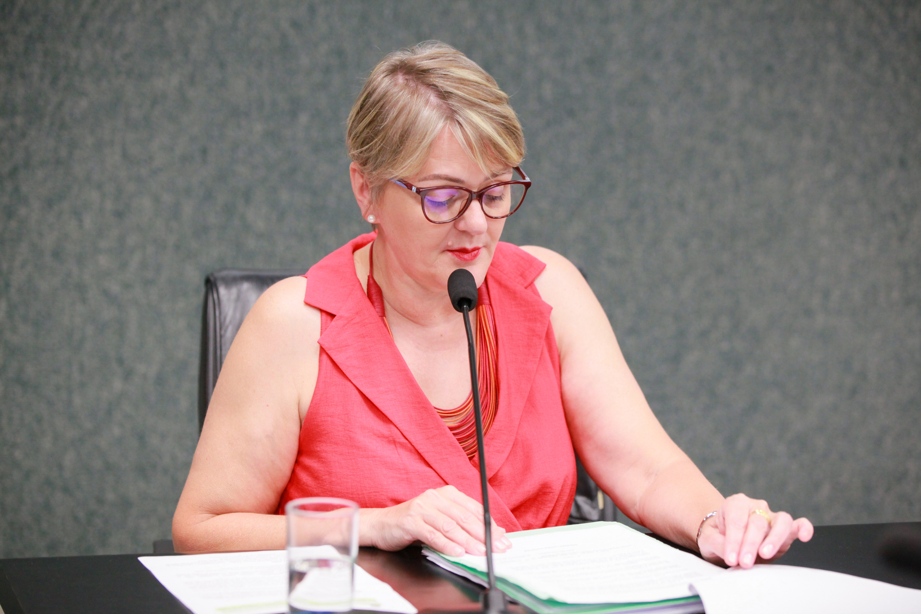 - Deputada Luciane Carminatti (PT)