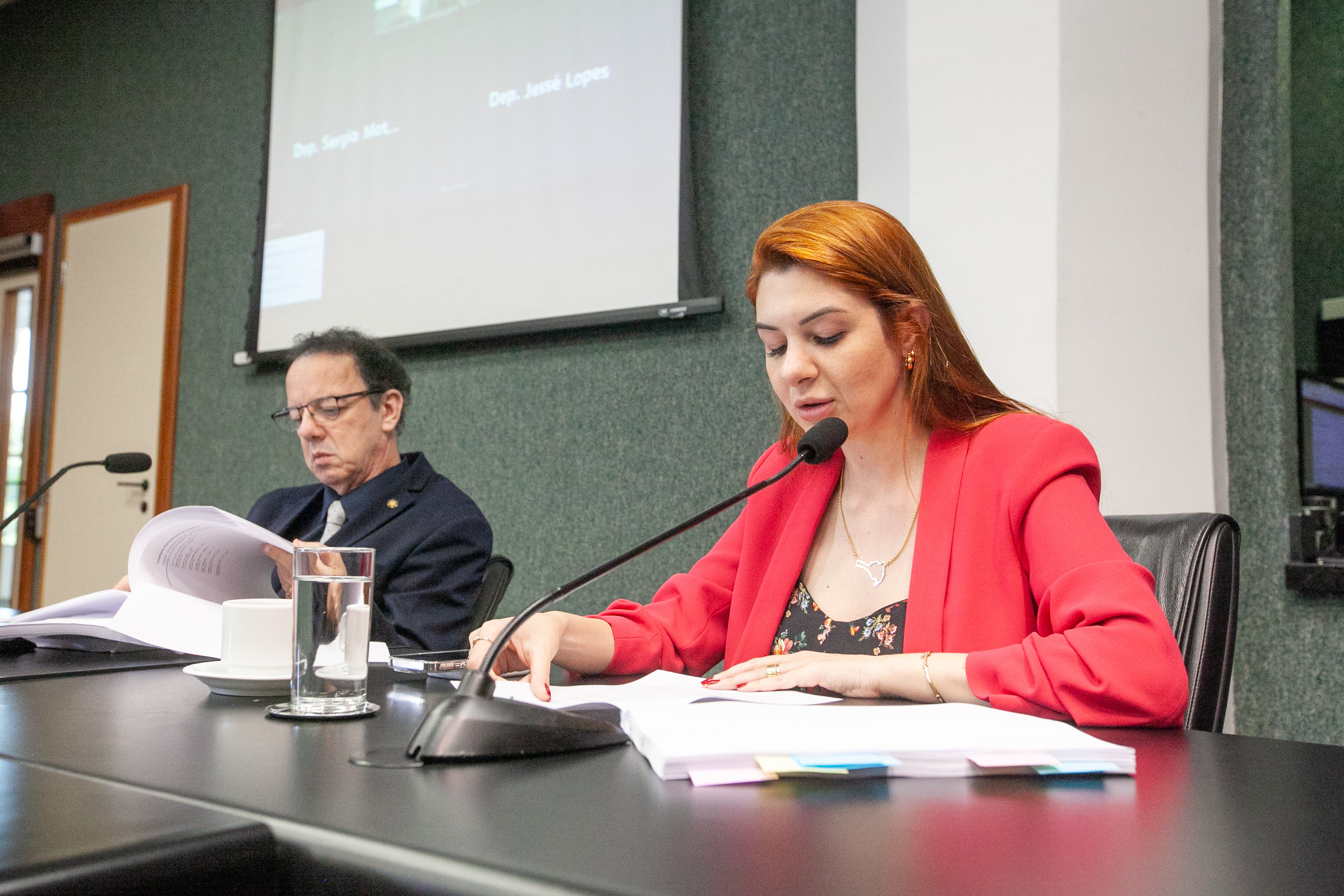 Deputada Ana Campagnolo, relatora da CPI do Aborto